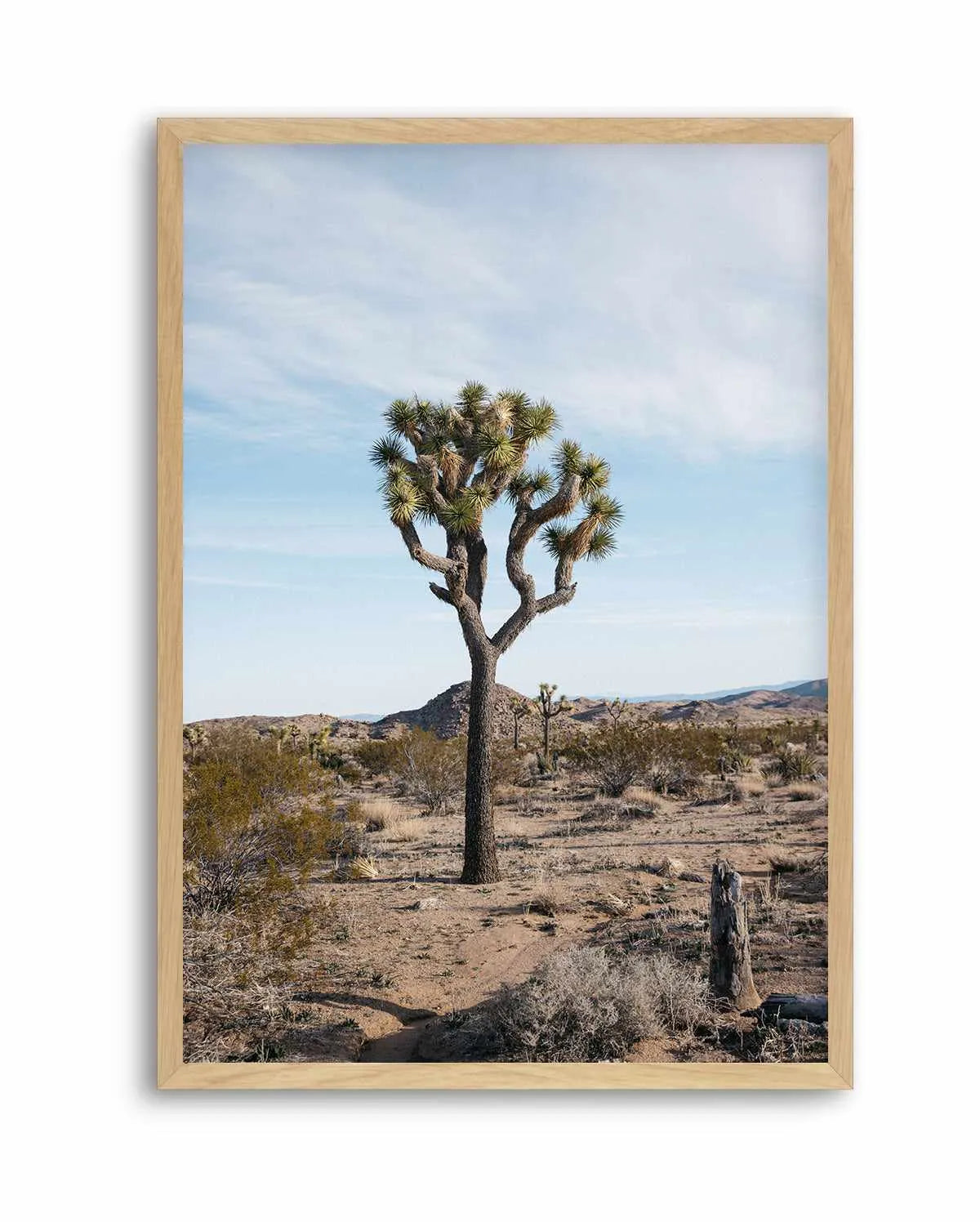 Joshua Tree PT by Kalen X | Art Print from Olive et Oriel where you can shop wallpaper and artworks online