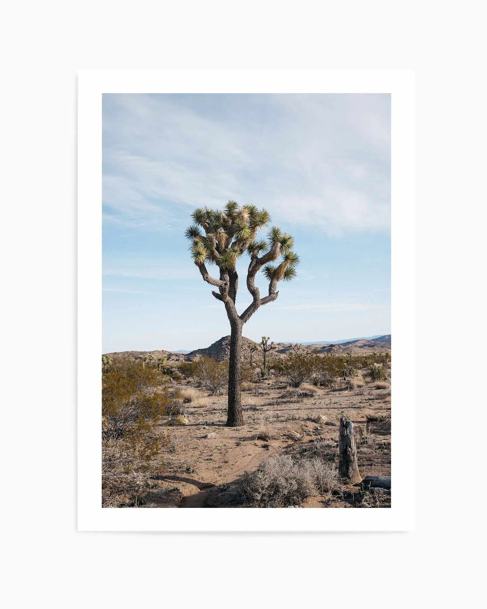 Joshua Tree PT by Kalen X | Art Print from Olive et Oriel where you can shop wallpaper and artworks online