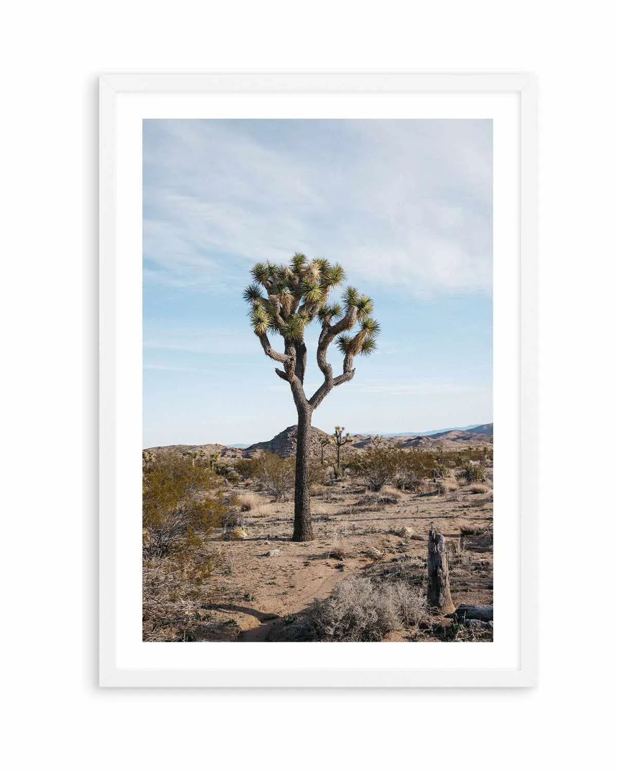 Joshua Tree PT by Kalen X | Art Print from Olive et Oriel where you can shop wallpaper and artworks online