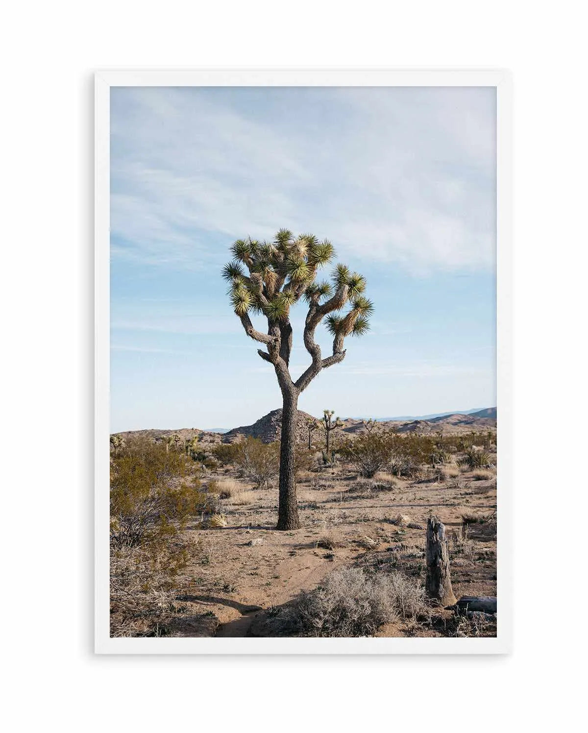 Joshua Tree PT by Kalen X | Art Print from Olive et Oriel where you can shop wallpaper and artworks online