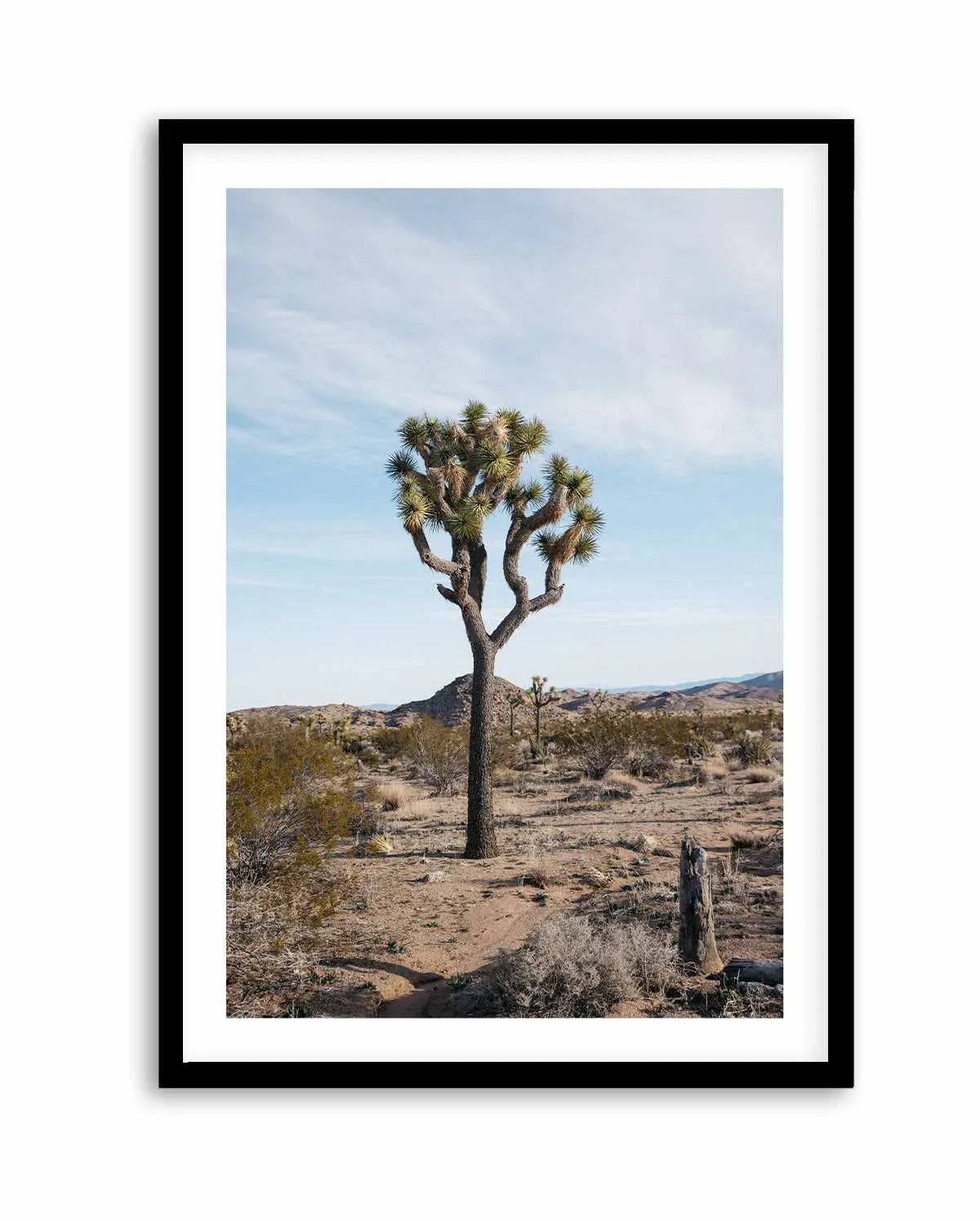 Joshua Tree PT by Kalen X | Art Print from Olive et Oriel where you can shop wallpaper and artworks online