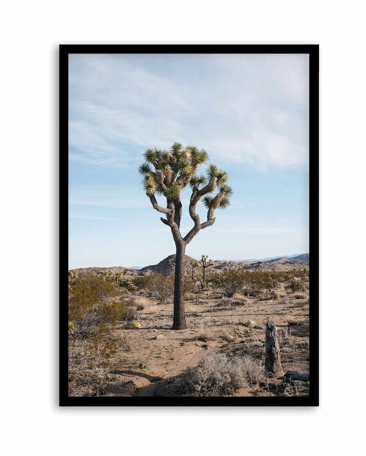 Joshua Tree PT by Kalen X | Art Print from Olive et Oriel where you can shop wallpaper and artworks online