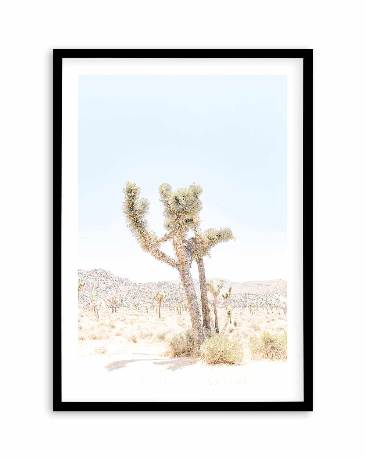 Joshua Tree V Art Print