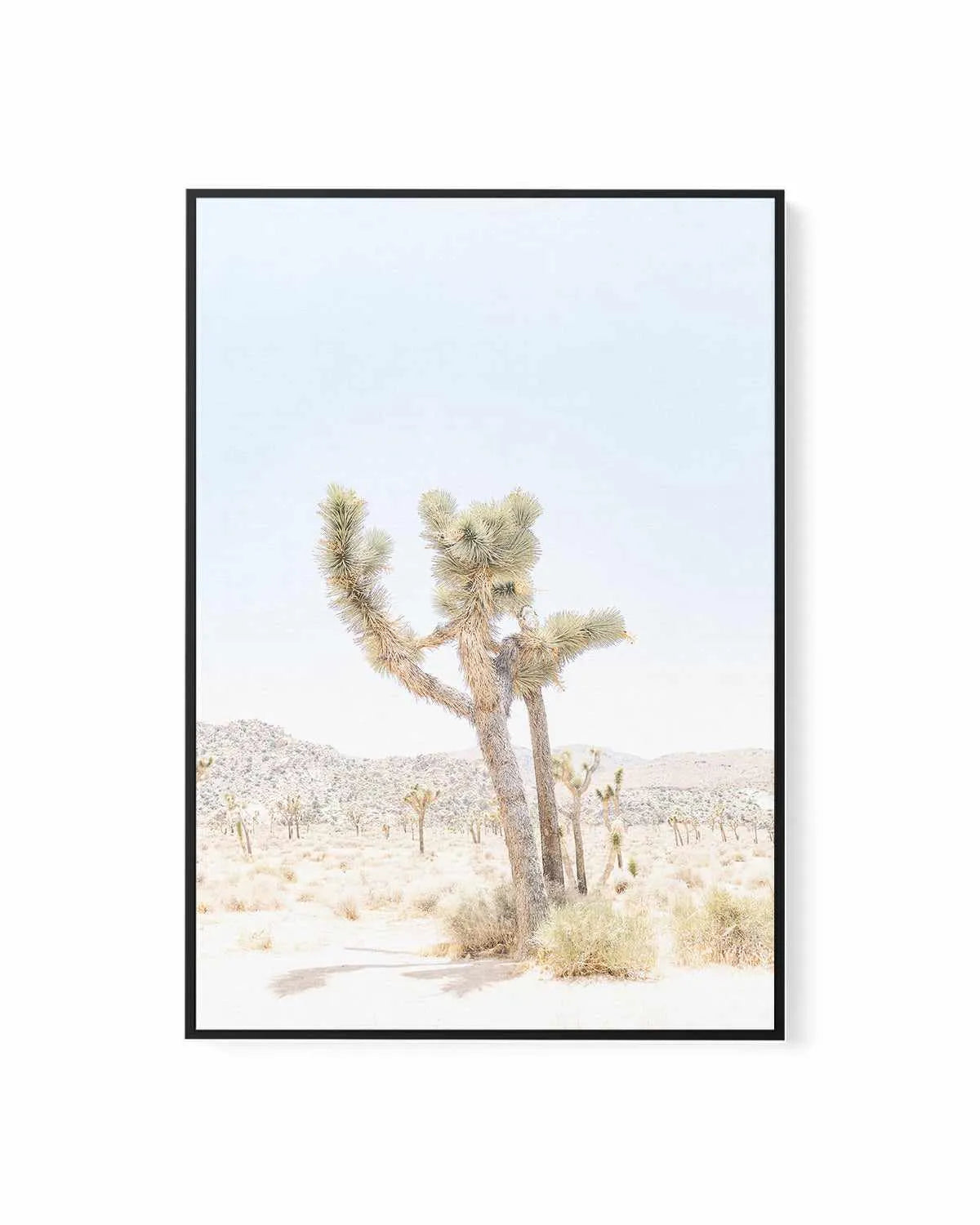 Joshua Tree V | Framed Canvas Art Print from Olive et Oriel where you can shop wallpaper and artworks online