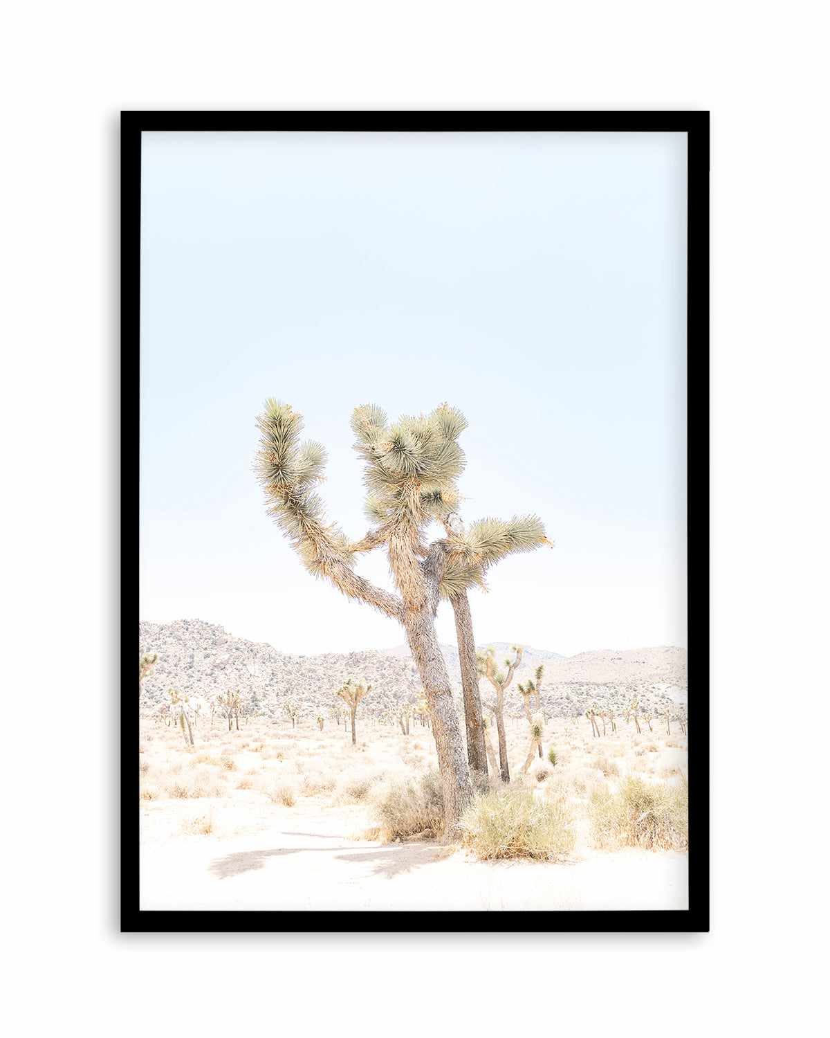 Joshua Tree V Art Print