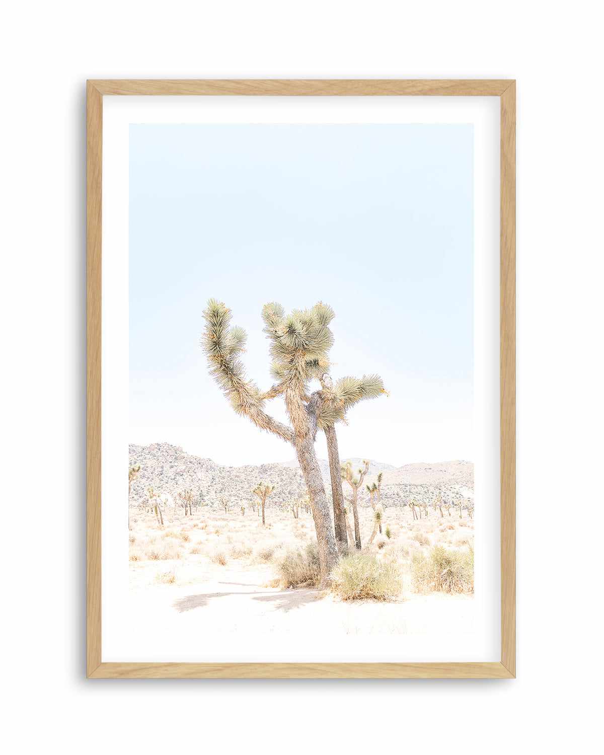 Joshua Tree V Art Print