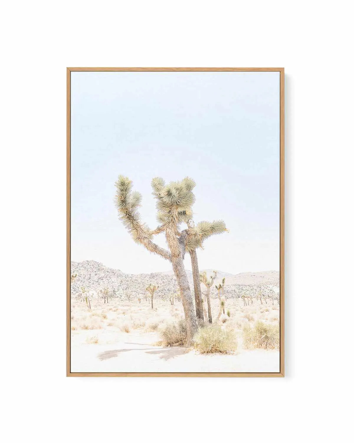 Joshua Tree V | Framed Canvas Art Print from Olive et Oriel where you can shop wallpaper and artworks online