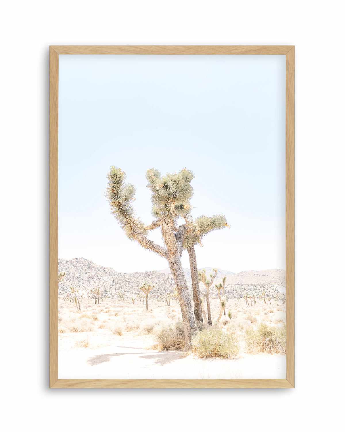 Joshua Tree V Art Print