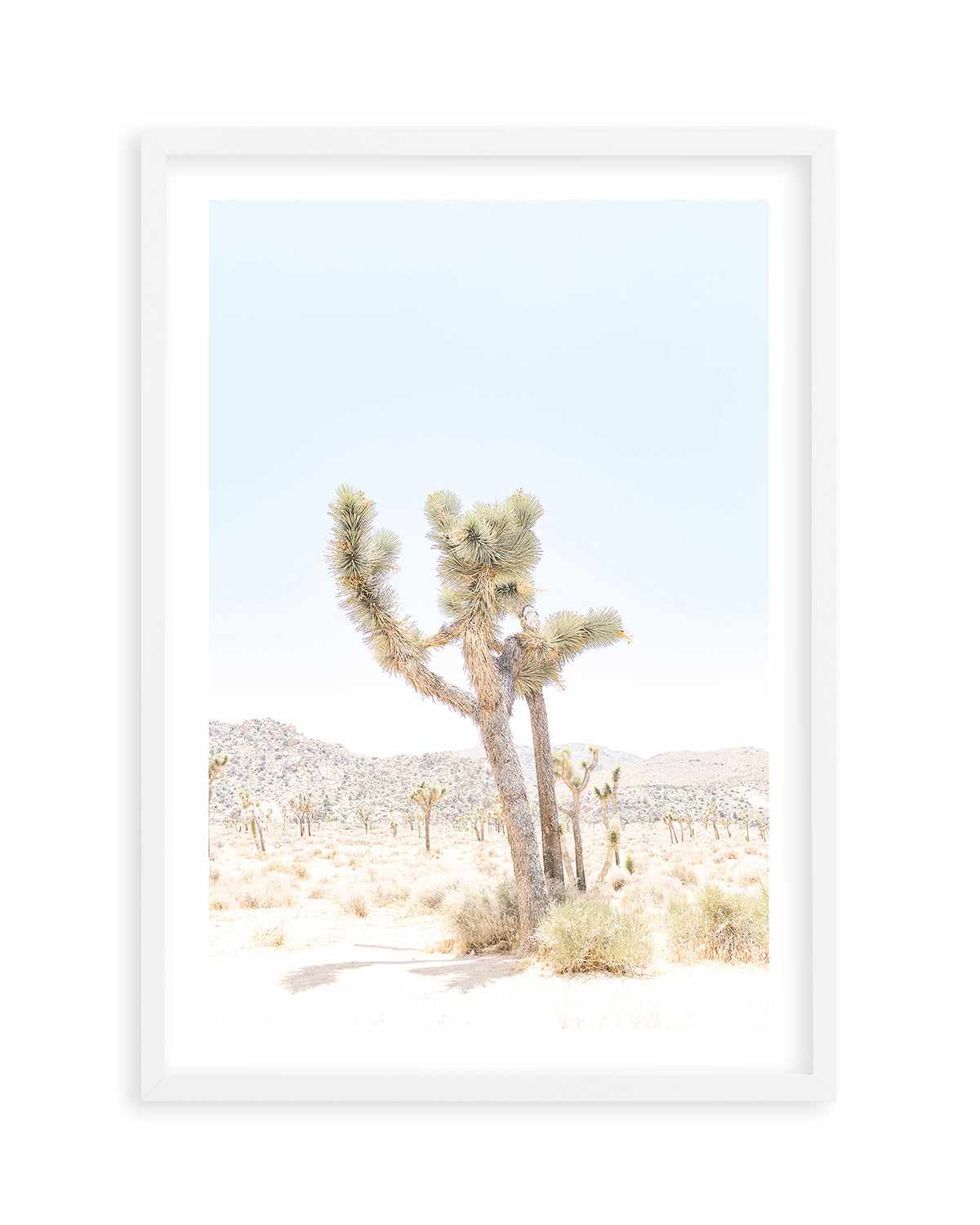 Joshua Tree V Art Print