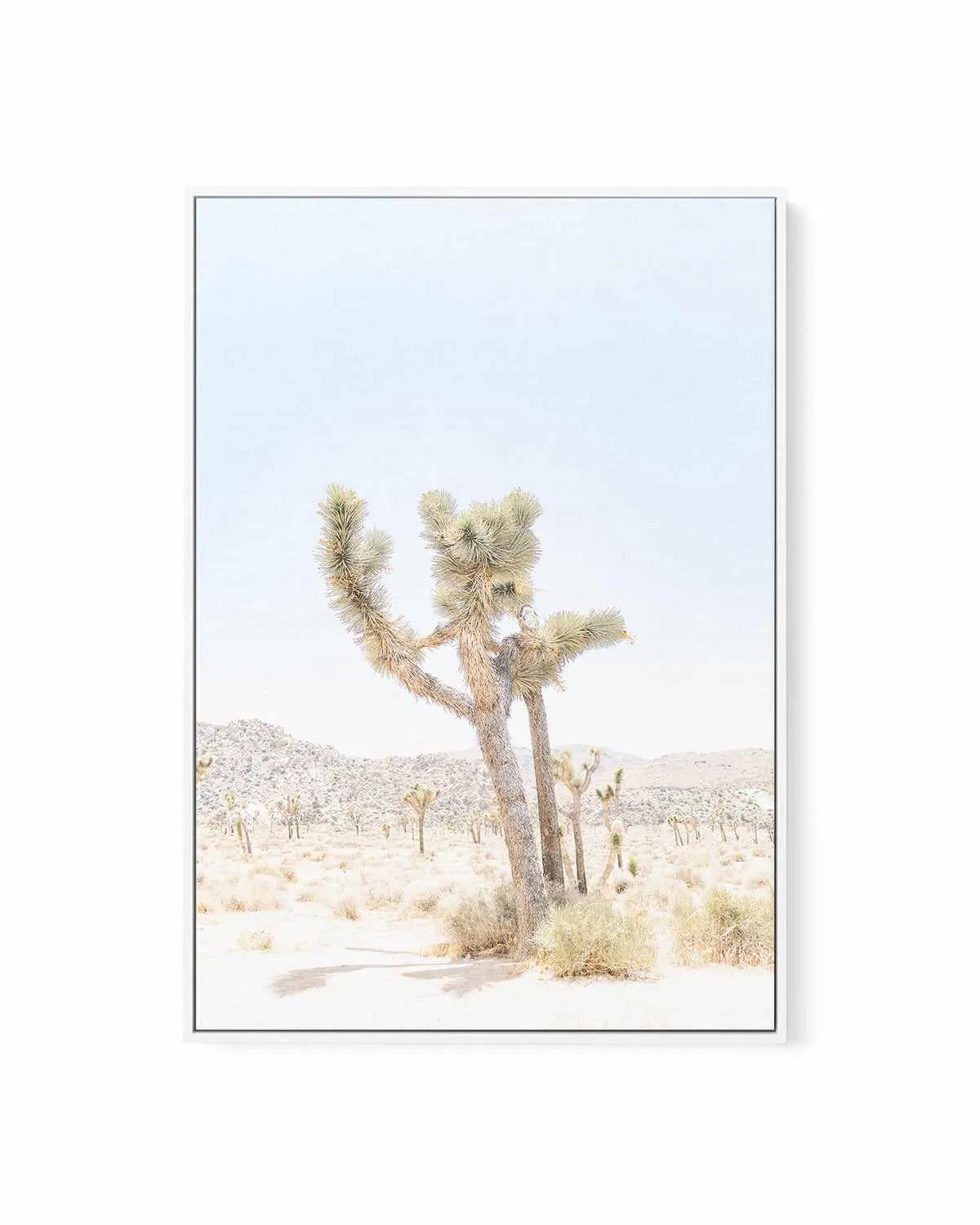 Joshua Tree V | Framed Canvas Art Print from Olive et Oriel where you can shop wallpaper and artworks online