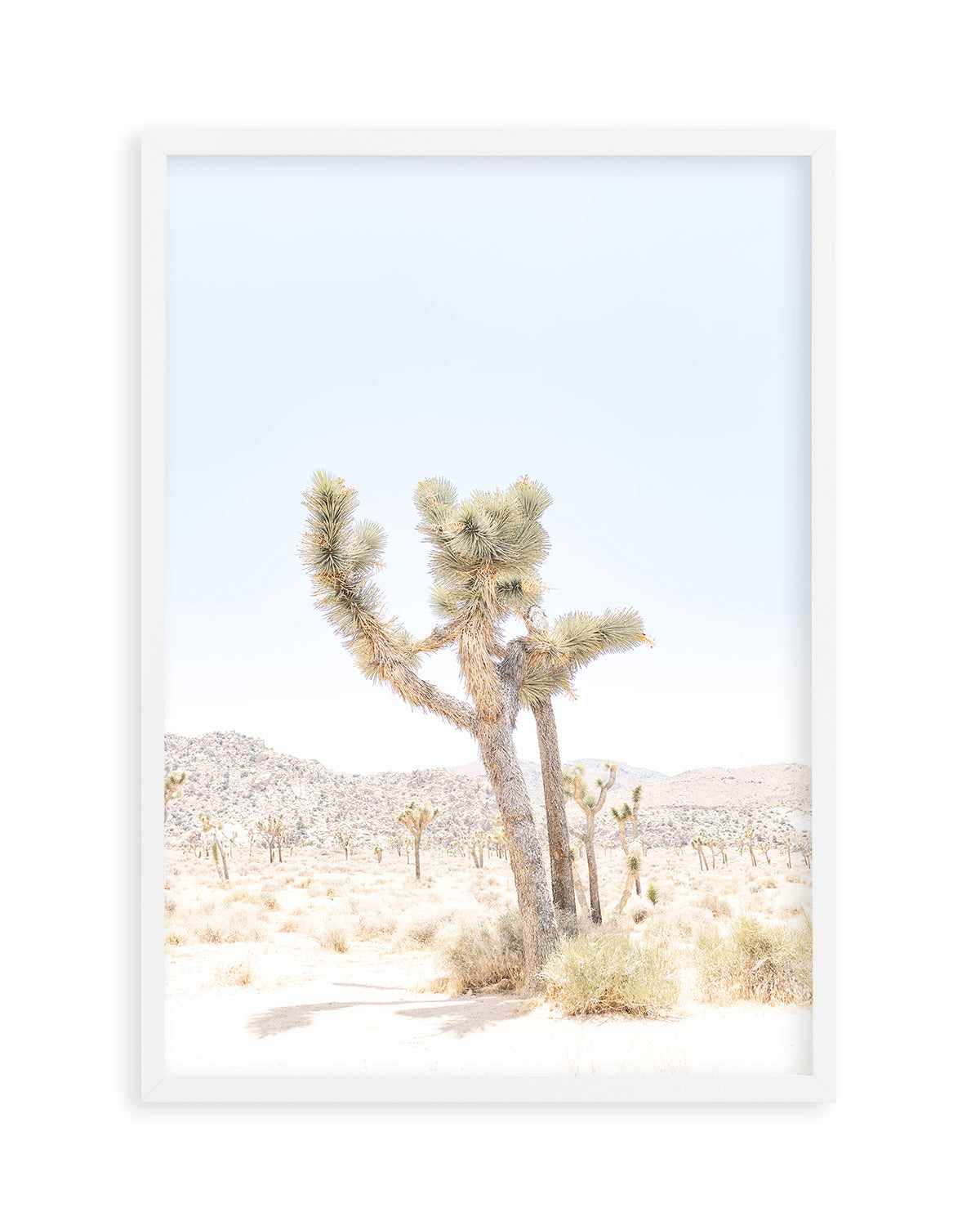 Joshua Tree V Art Print