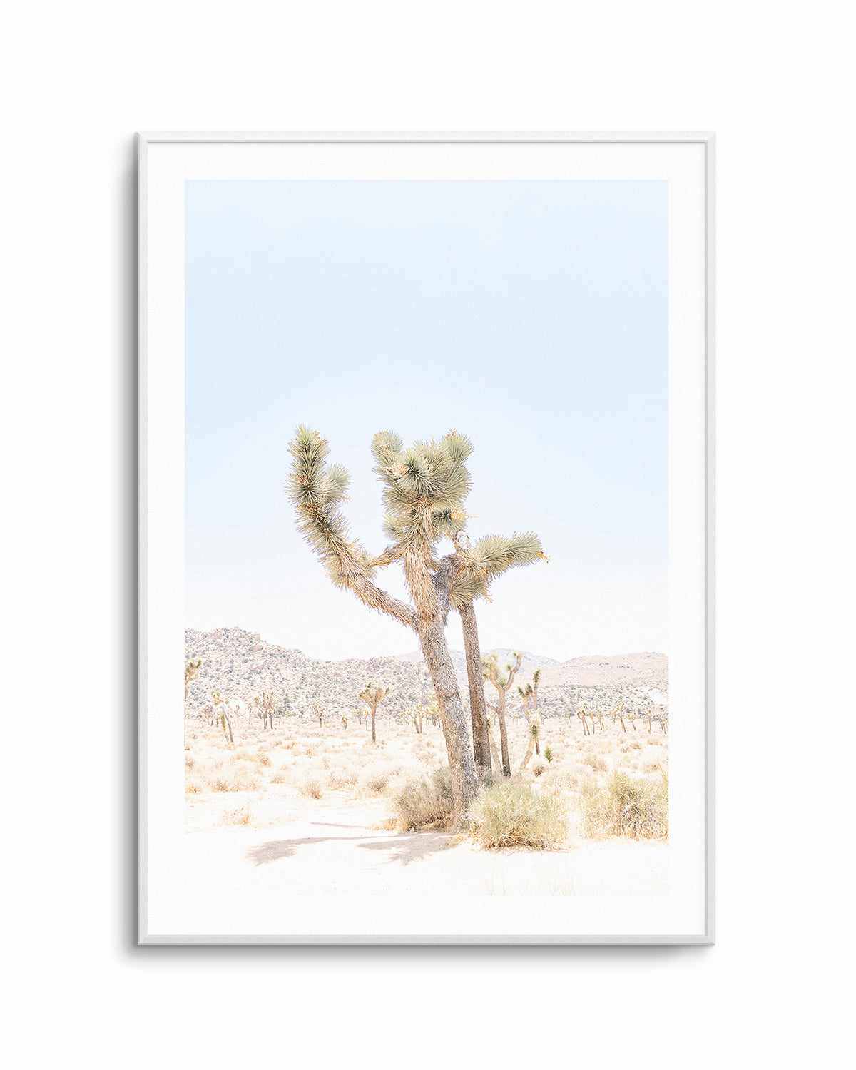 Joshua Tree V Art Print