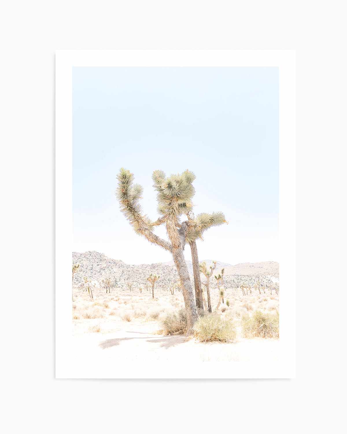 Joshua Tree V Art Print