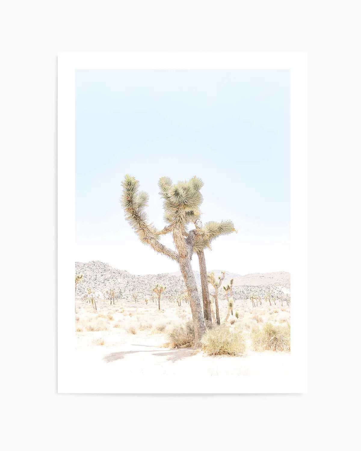 Joshua Tree V Art Print from Olive et Oriel where you can shop wallpaper and artworks online