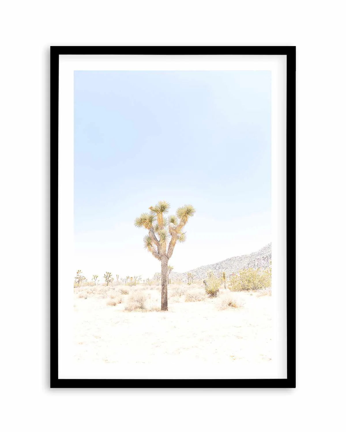 Joshua Tree VI Art Print from Olive et Oriel where you can shop wallpaper and artworks online