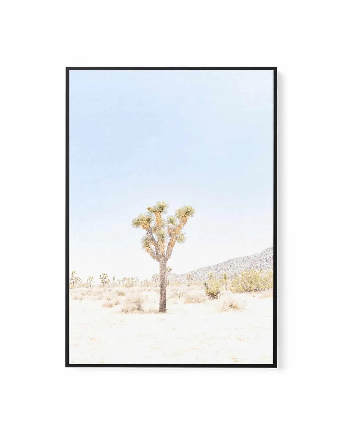 Joshua Tree VI | Framed Canvas Art Print from Olive et Oriel where you can shop wallpaper and artworks online