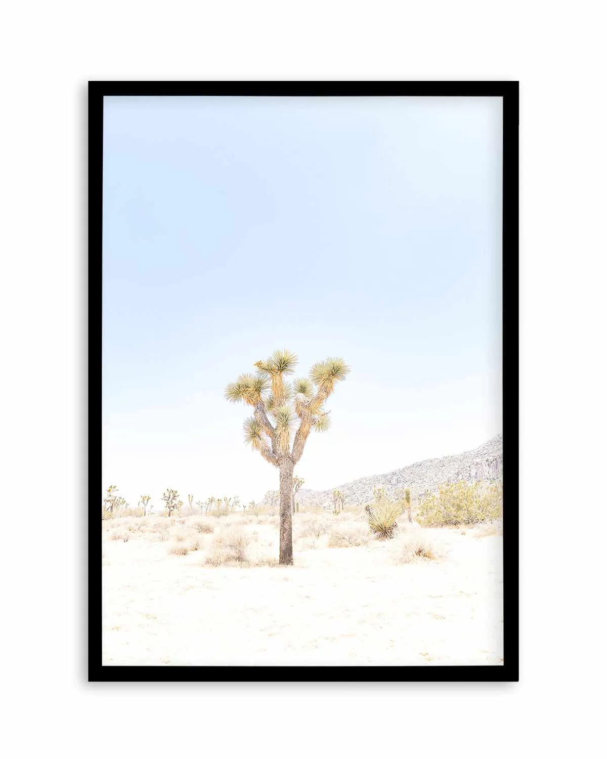 Joshua Tree VI Art Print from Olive et Oriel where you can shop wallpaper and artworks online