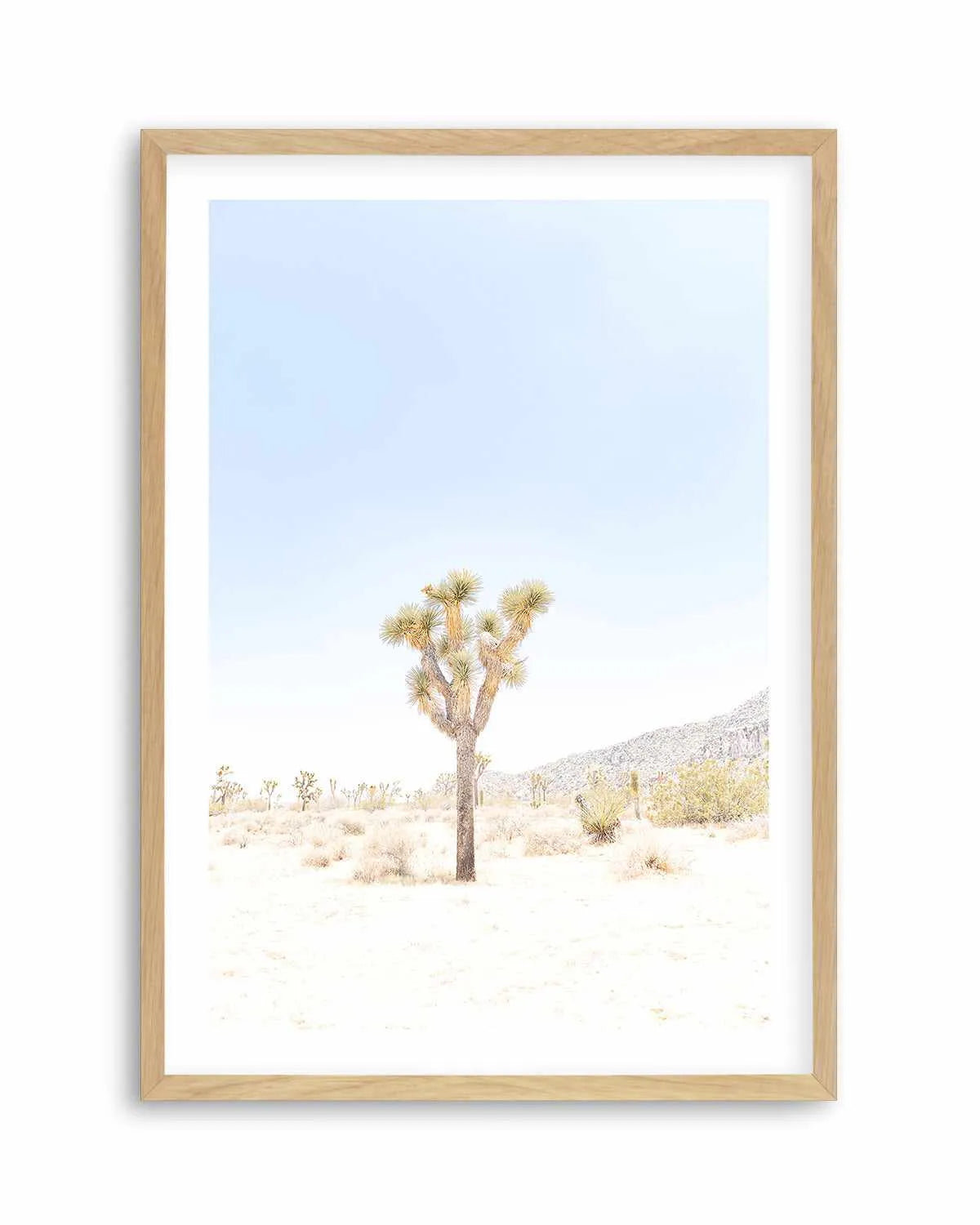 Joshua Tree VI Art Print from Olive et Oriel where you can shop wallpaper and artworks online
