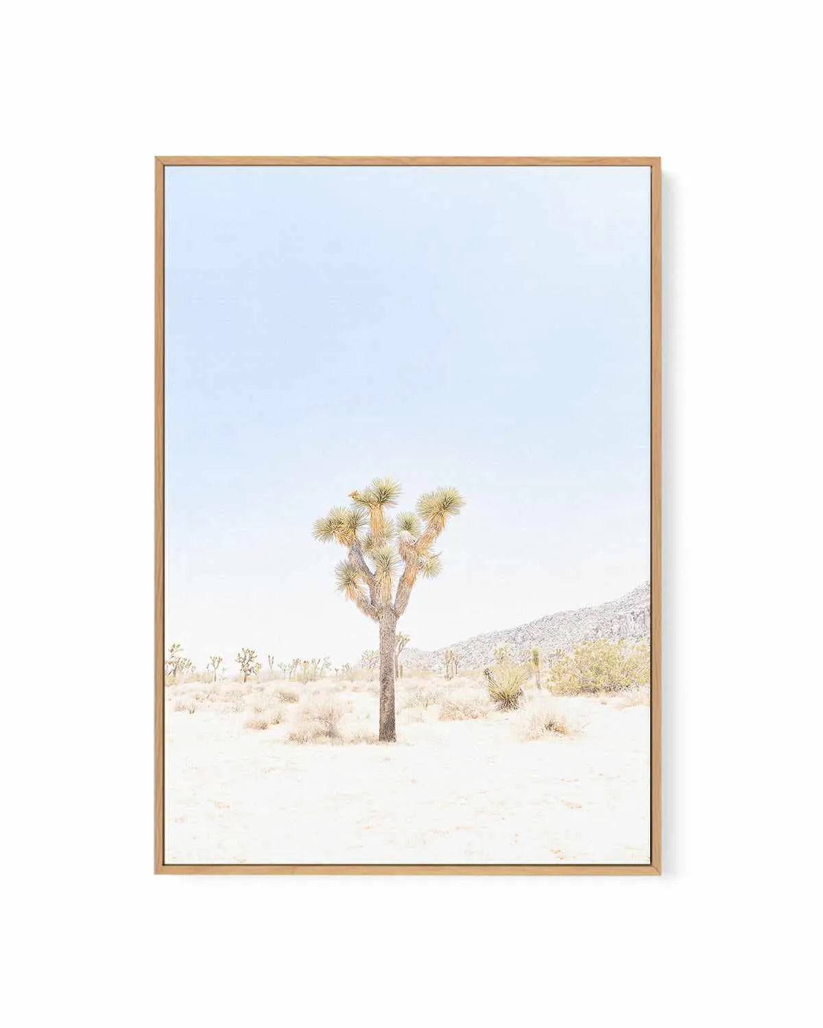 Joshua Tree VI | Framed Canvas Art Print from Olive et Oriel where you can shop wallpaper and artworks online