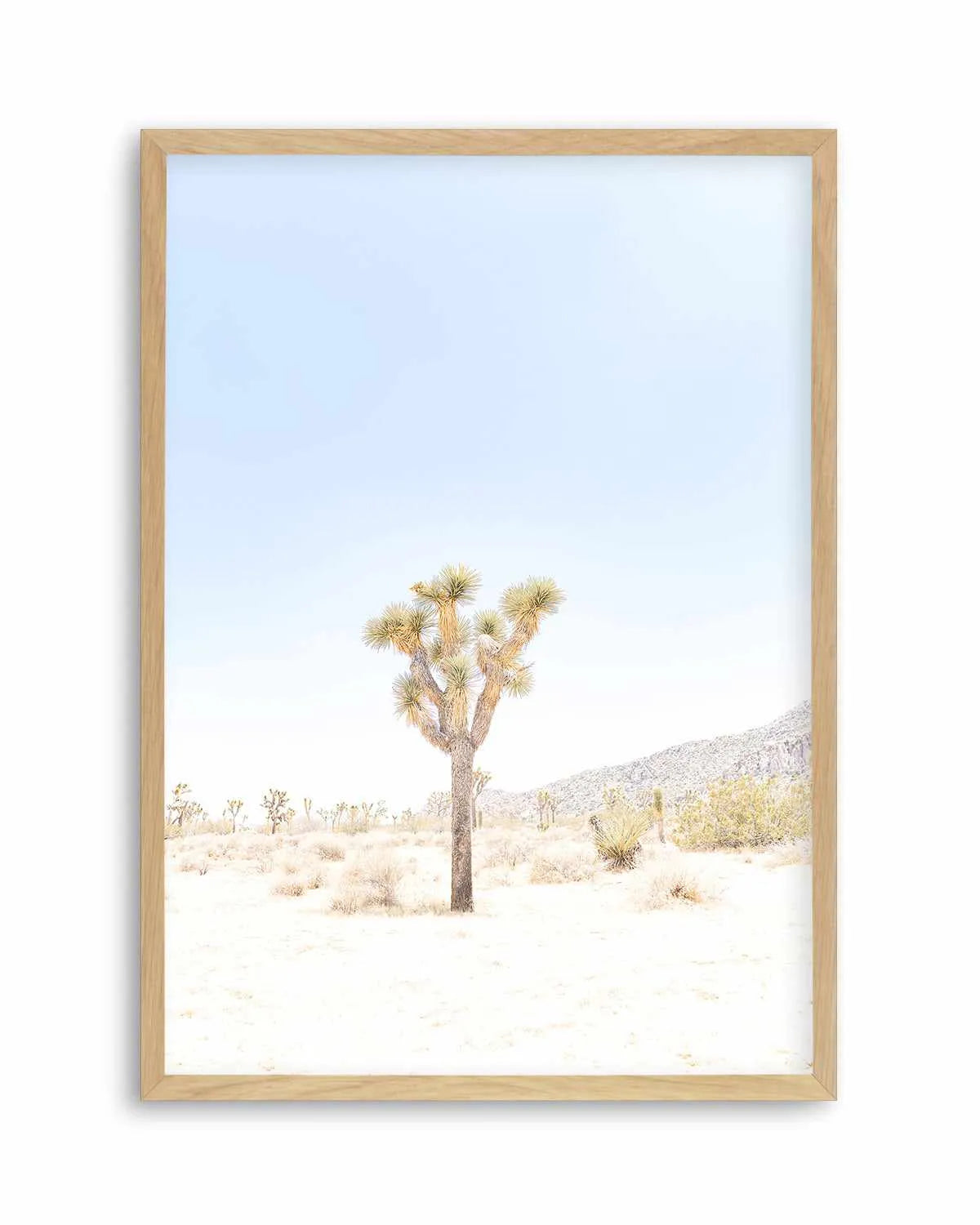 Joshua Tree VI Art Print from Olive et Oriel where you can shop wallpaper and artworks online