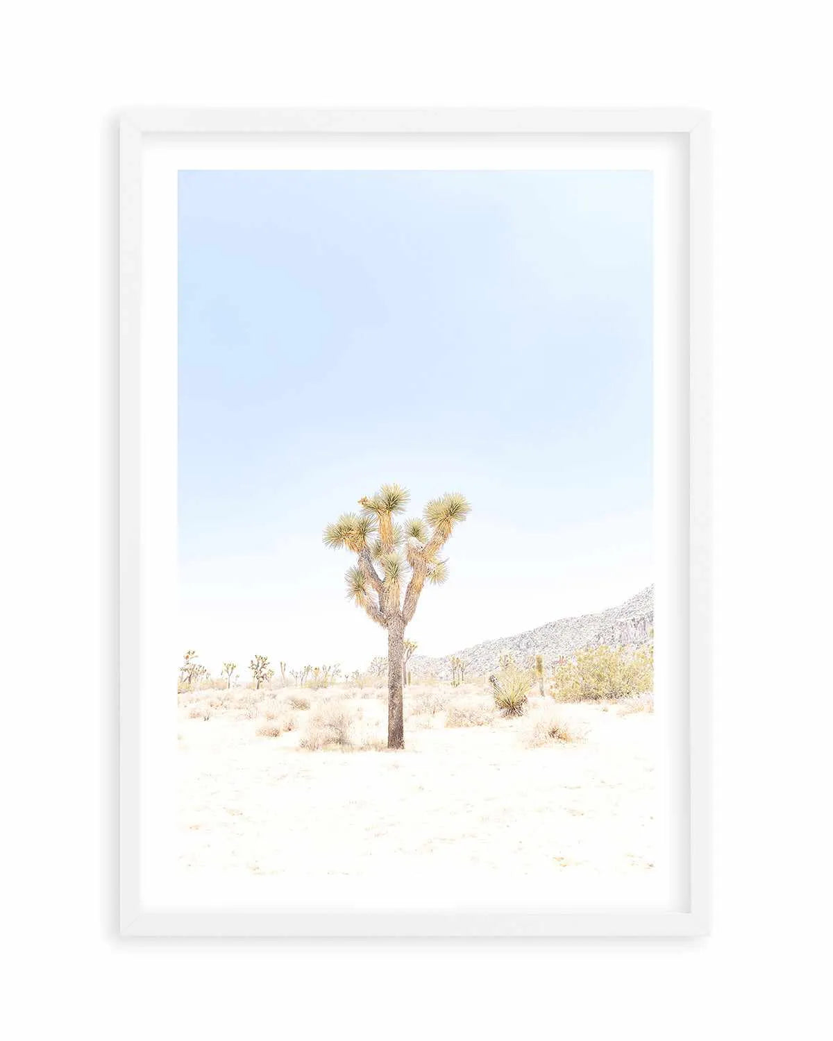 Joshua Tree VI Art Print from Olive et Oriel where you can shop wallpaper and artworks online