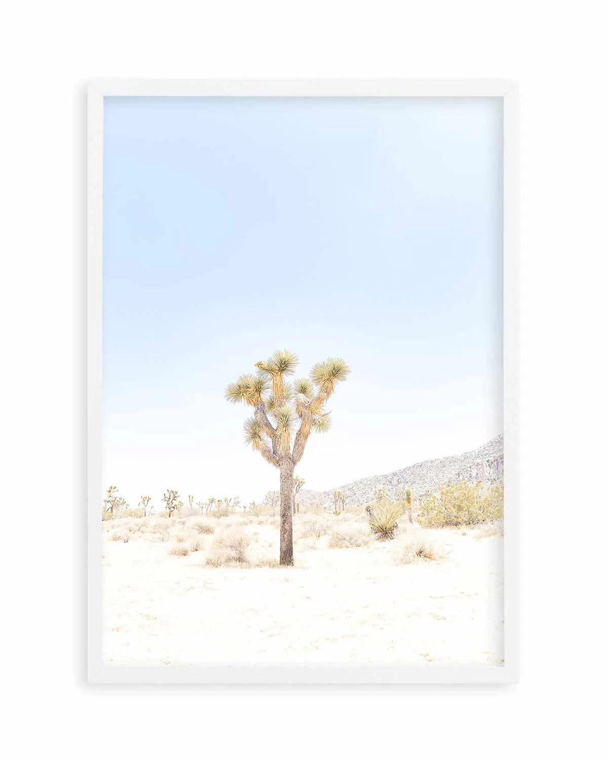 Joshua Tree VI Art Print from Olive et Oriel where you can shop wallpaper and artworks online