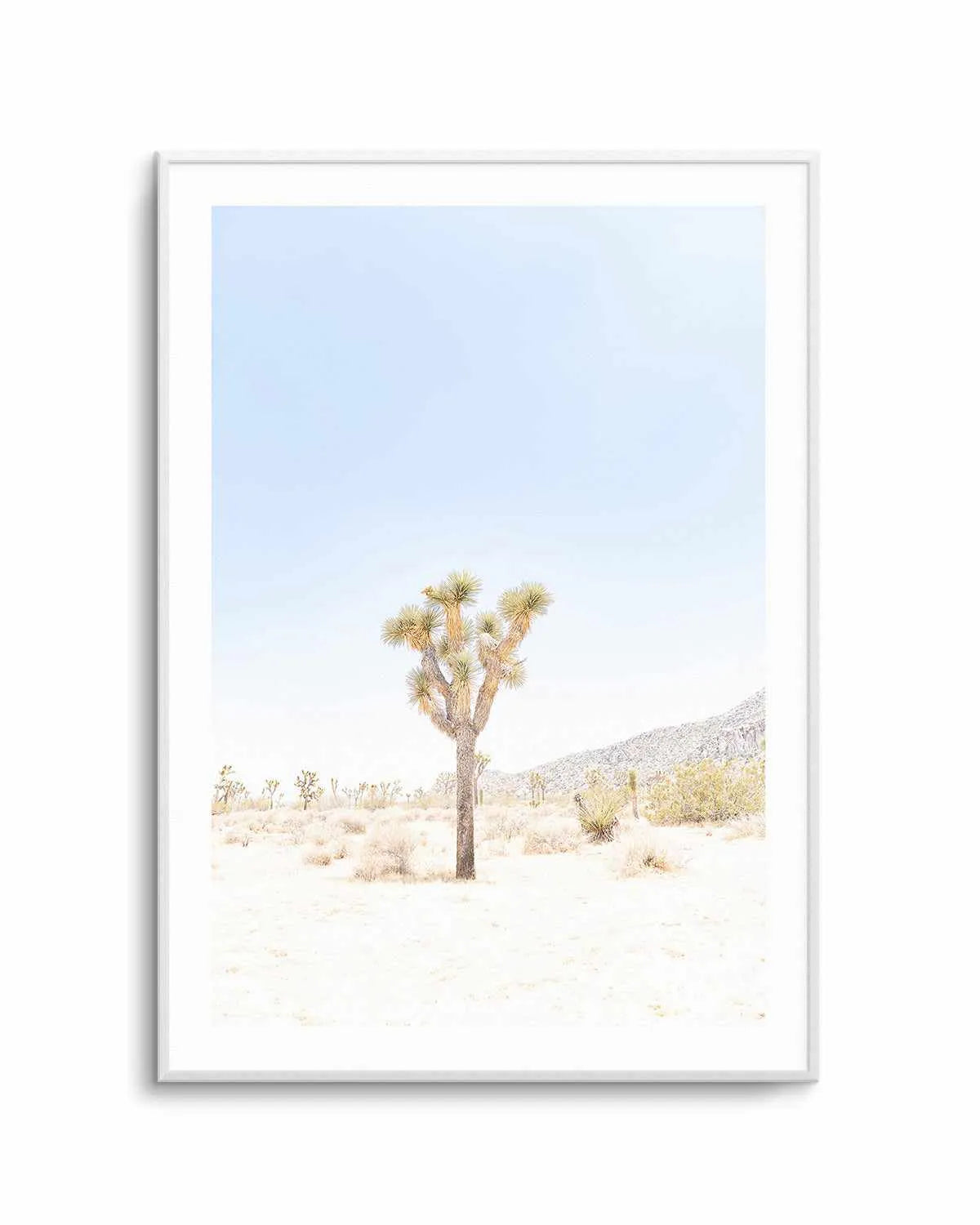 Joshua Tree VI Art Print from Olive et Oriel where you can shop wallpaper and artworks online