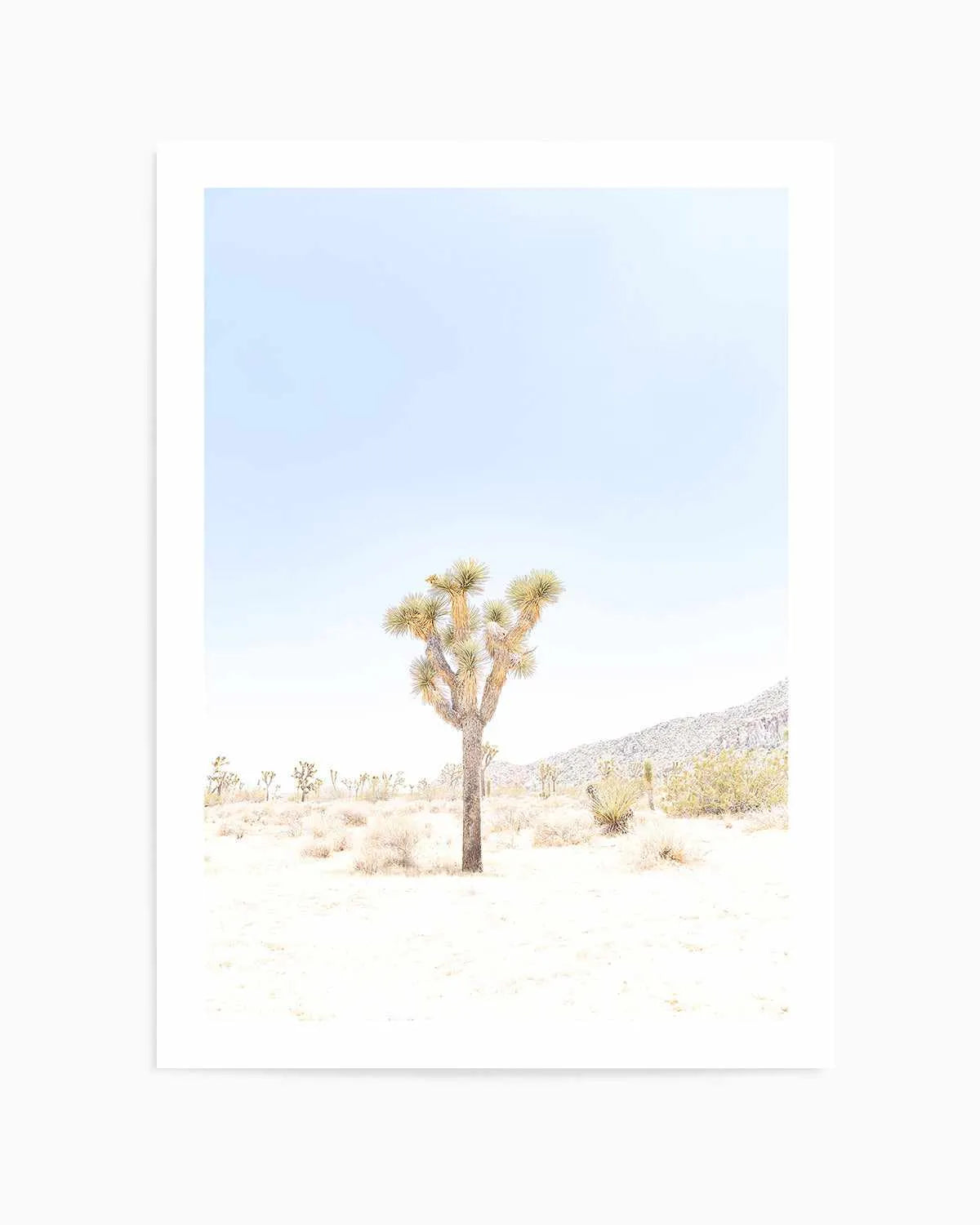 Joshua Tree VI Art Print from Olive et Oriel where you can shop wallpaper and artworks online