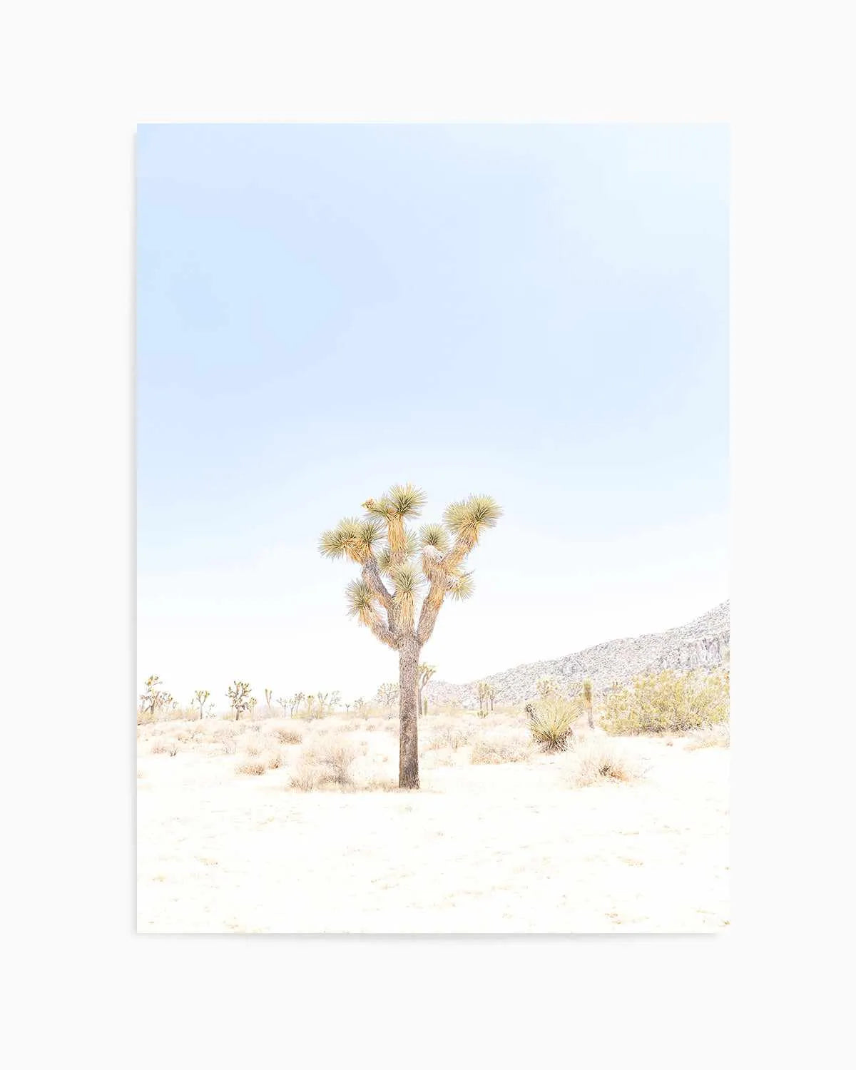 Joshua Tree VI Art Print from Olive et Oriel where you can shop wallpaper and artworks online