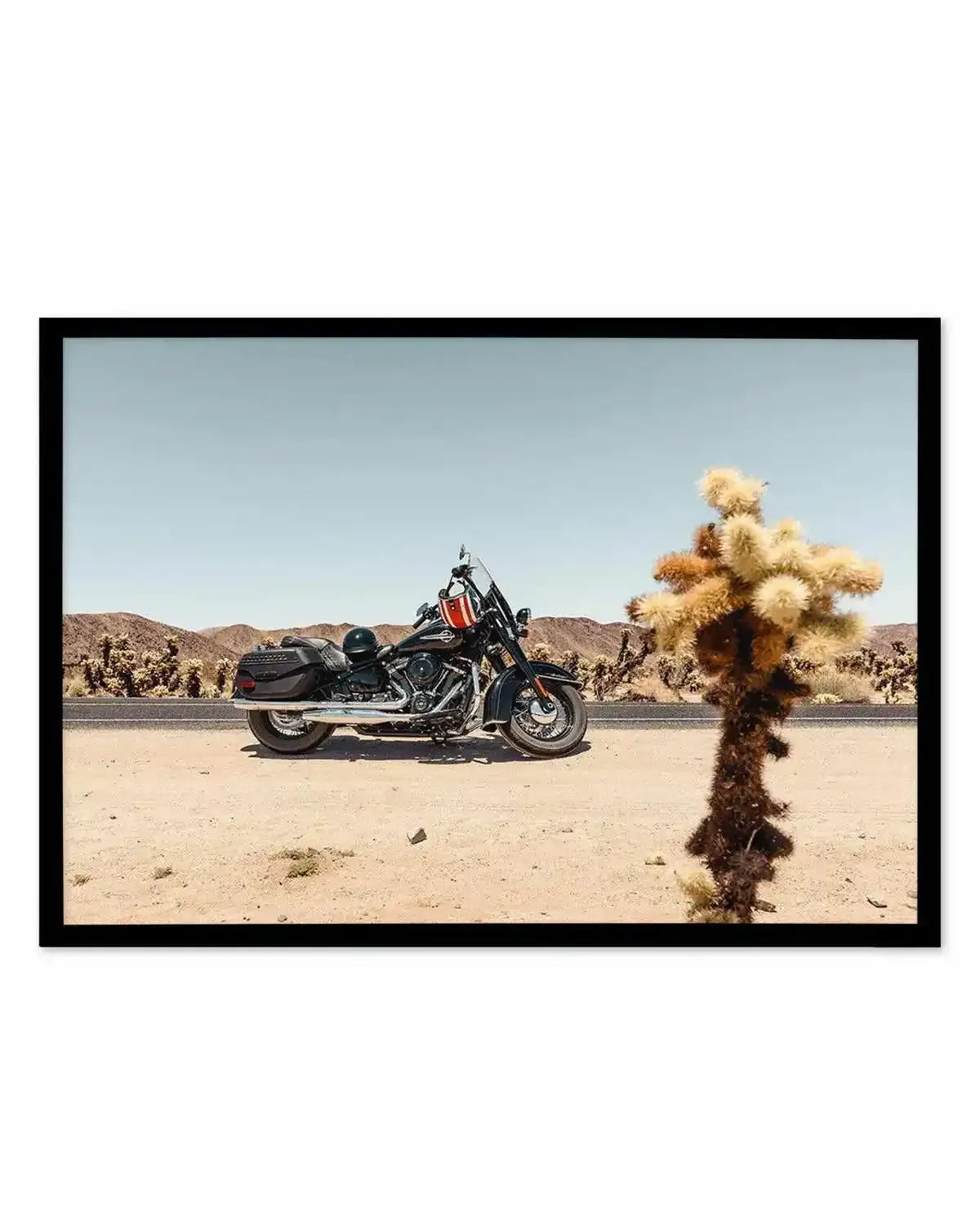 Joshua Tree by Tim Harris Art Print from Olive et Oriel where you can shop wallpaper and artworks online