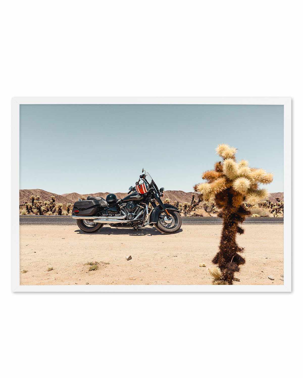 Joshua Tree by Tim Harris Art Print