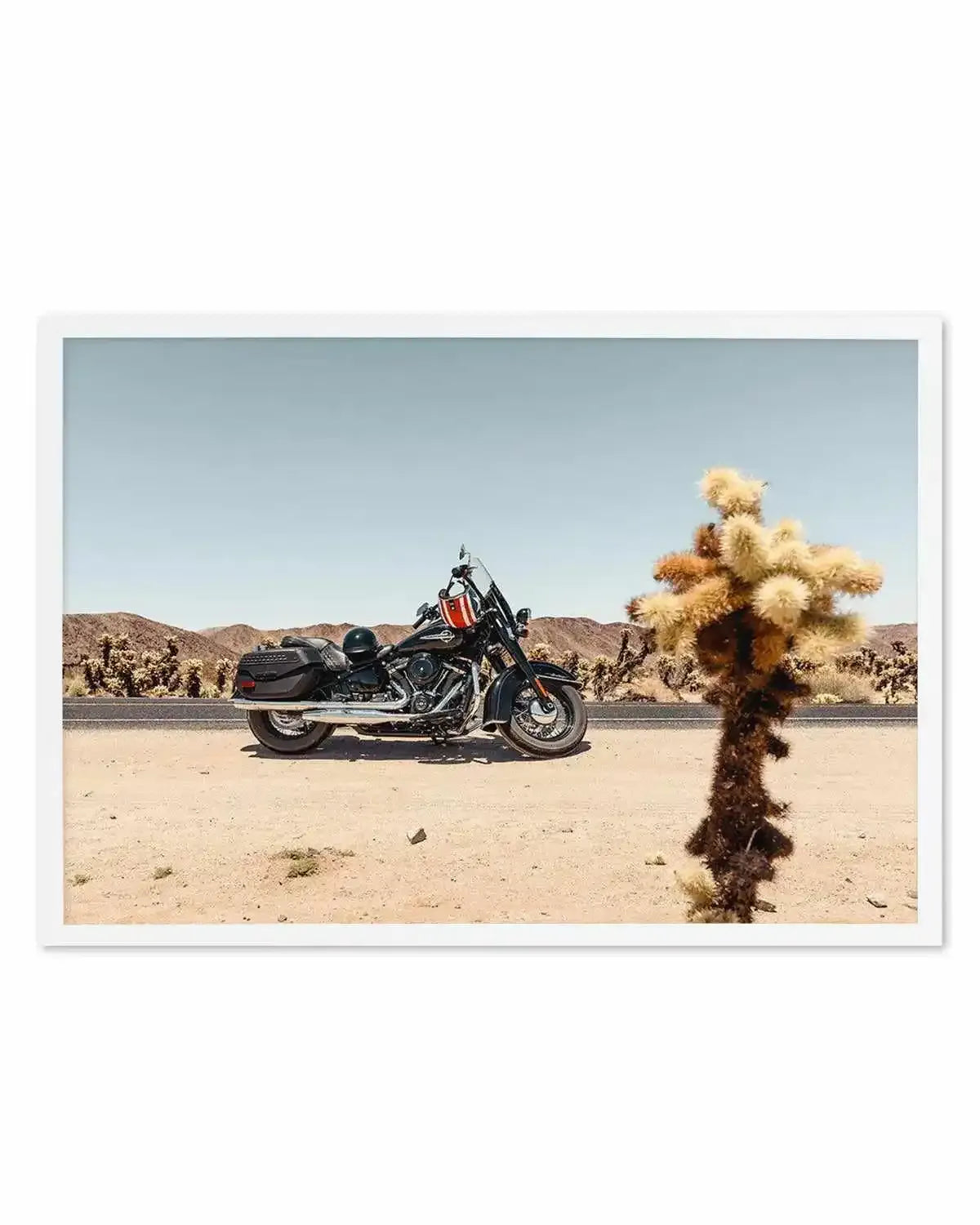 Joshua Tree by Tim Harris Art Print from Olive et Oriel where you can shop wallpaper and artworks online