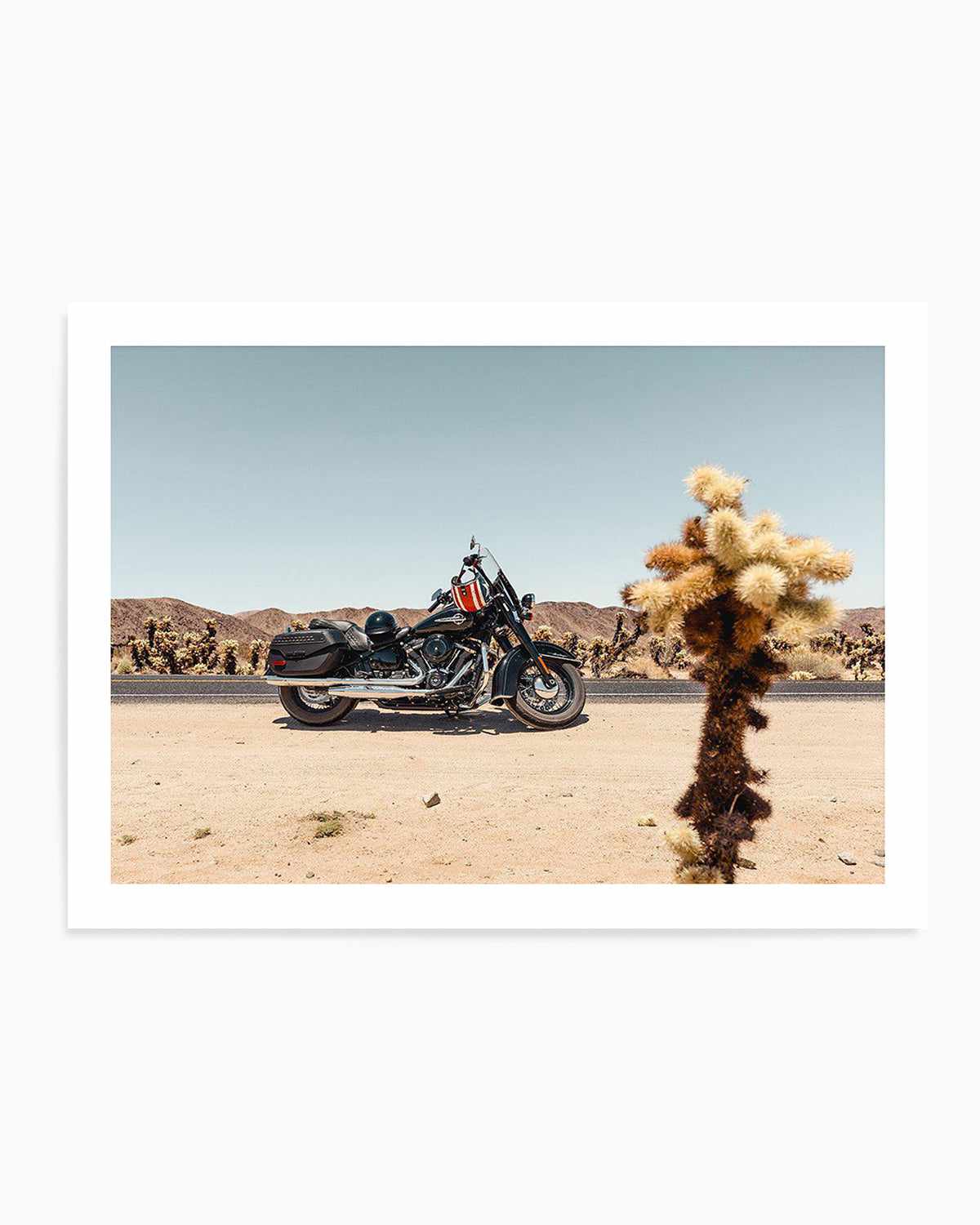 Joshua Tree by Tim Harris Art Print