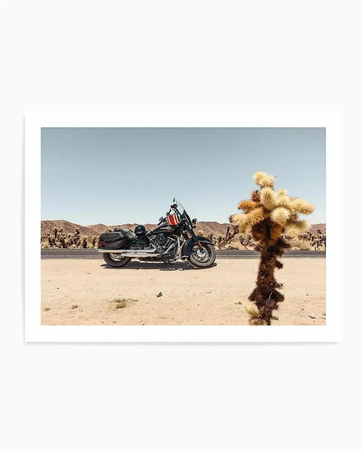 Joshua Tree by Tim Harris Art Print from Olive et Oriel where you can shop wallpaper and artworks online