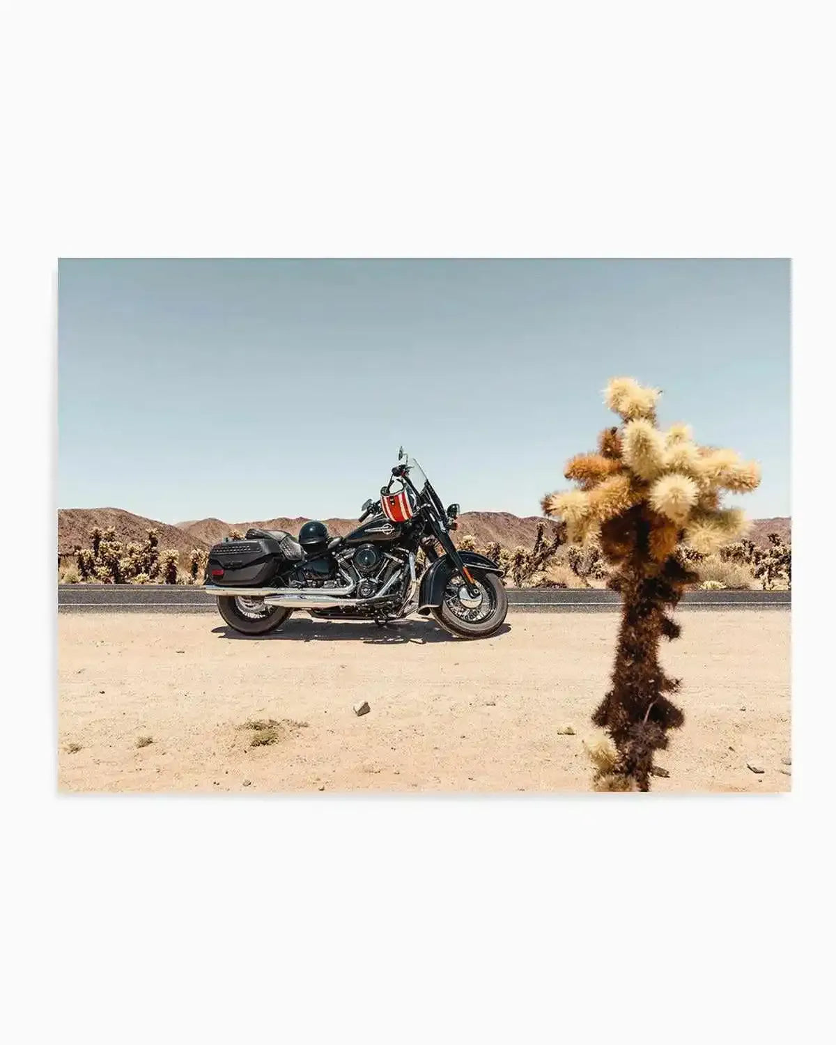 Joshua Tree by Tim Harris Art Print from Olive et Oriel where you can shop wallpaper and artworks online
