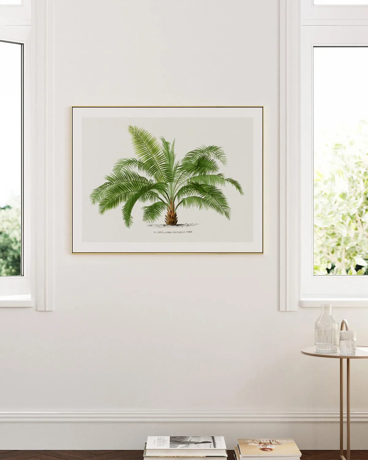Jubaea Spectabilis Vintage Palm Poster Art Print from Olive et Oriel where you can shop wallpaper and artworks online