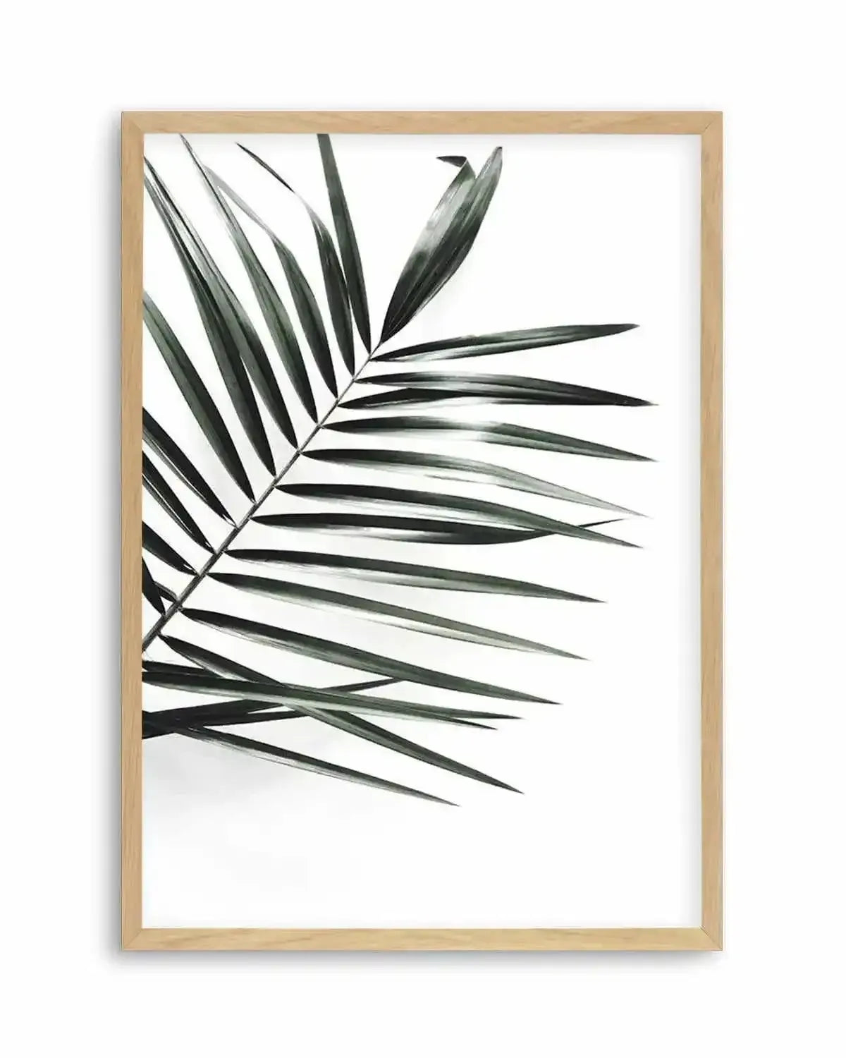 Jungalow Art Print from Olive et Oriel where you can shop wallpaper and artworks online