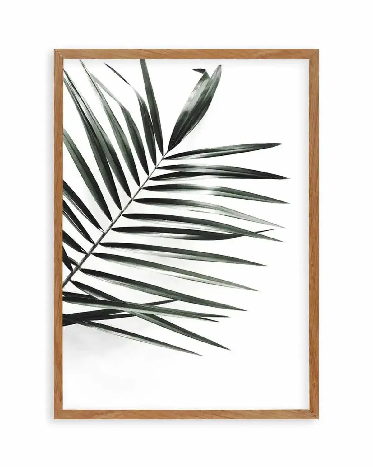 Jungalow Art Print from Olive et Oriel where you can shop wallpaper and artworks online