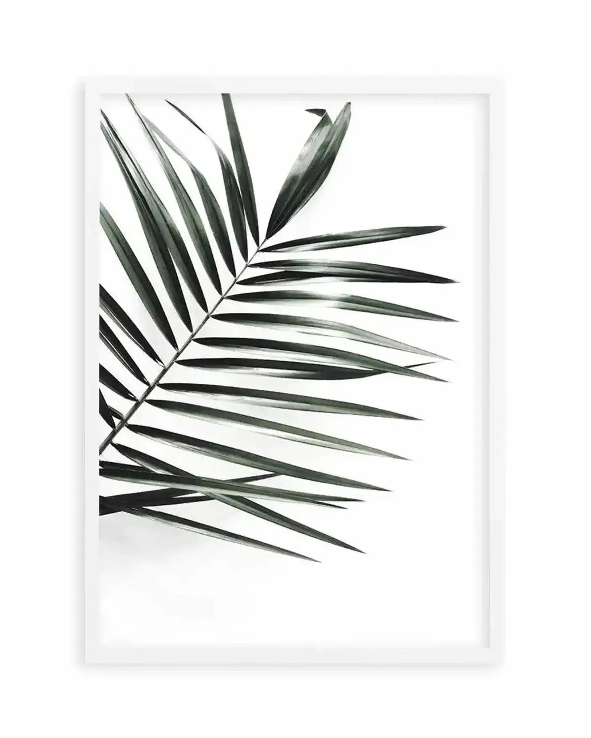 Jungalow Art Print from Olive et Oriel where you can shop wallpaper and artworks online