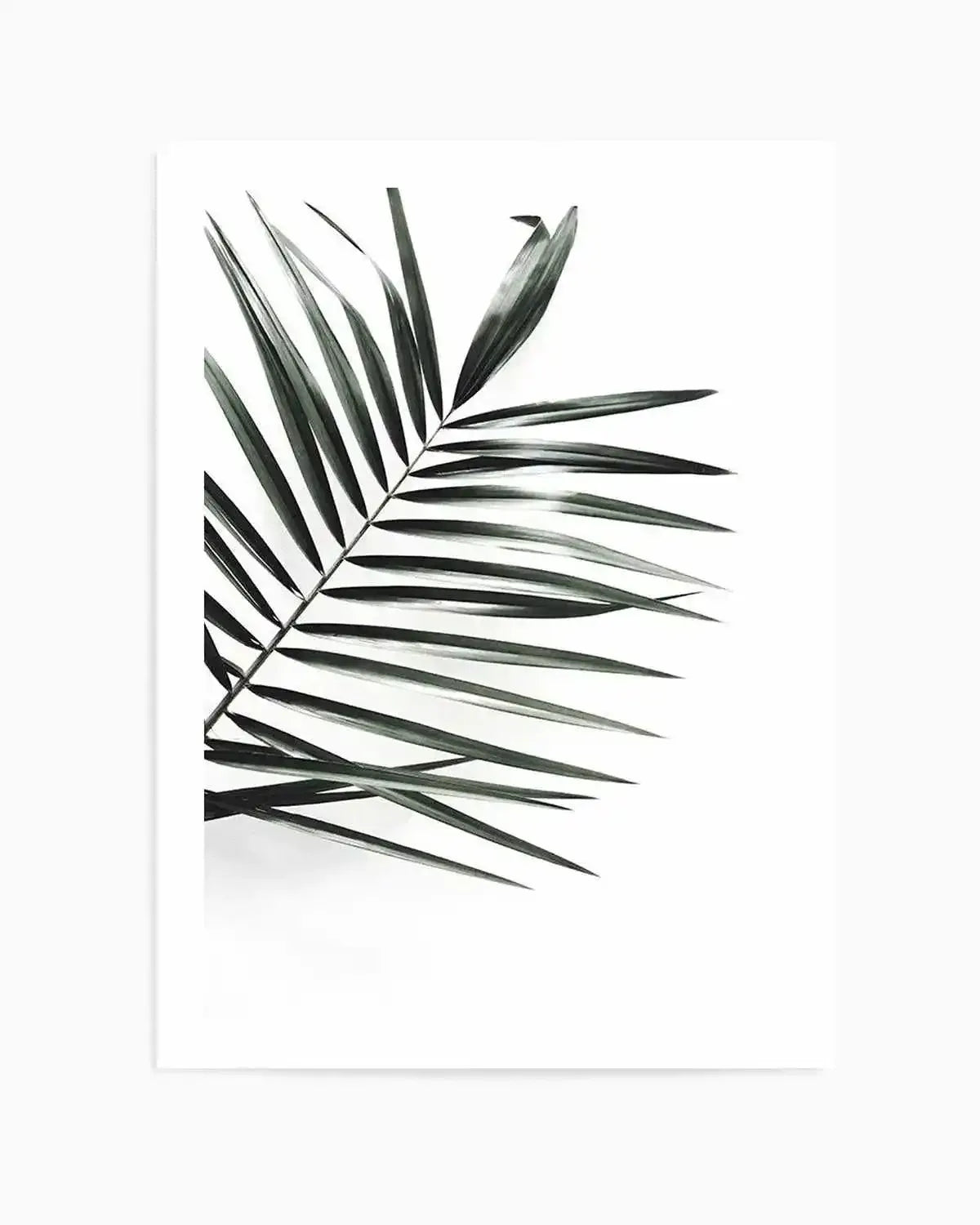 Jungalow Art Print from Olive et Oriel where you can shop wallpaper and artworks online