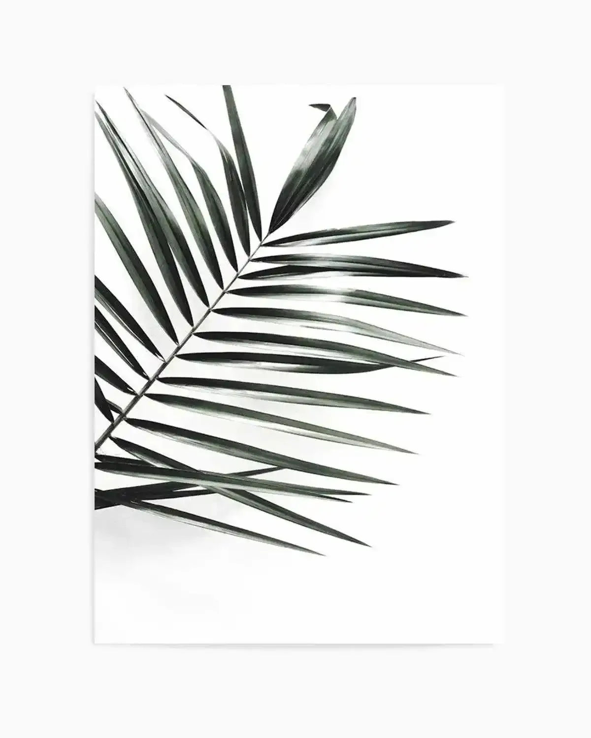Jungalow Art Print from Olive et Oriel where you can shop wallpaper and artworks online