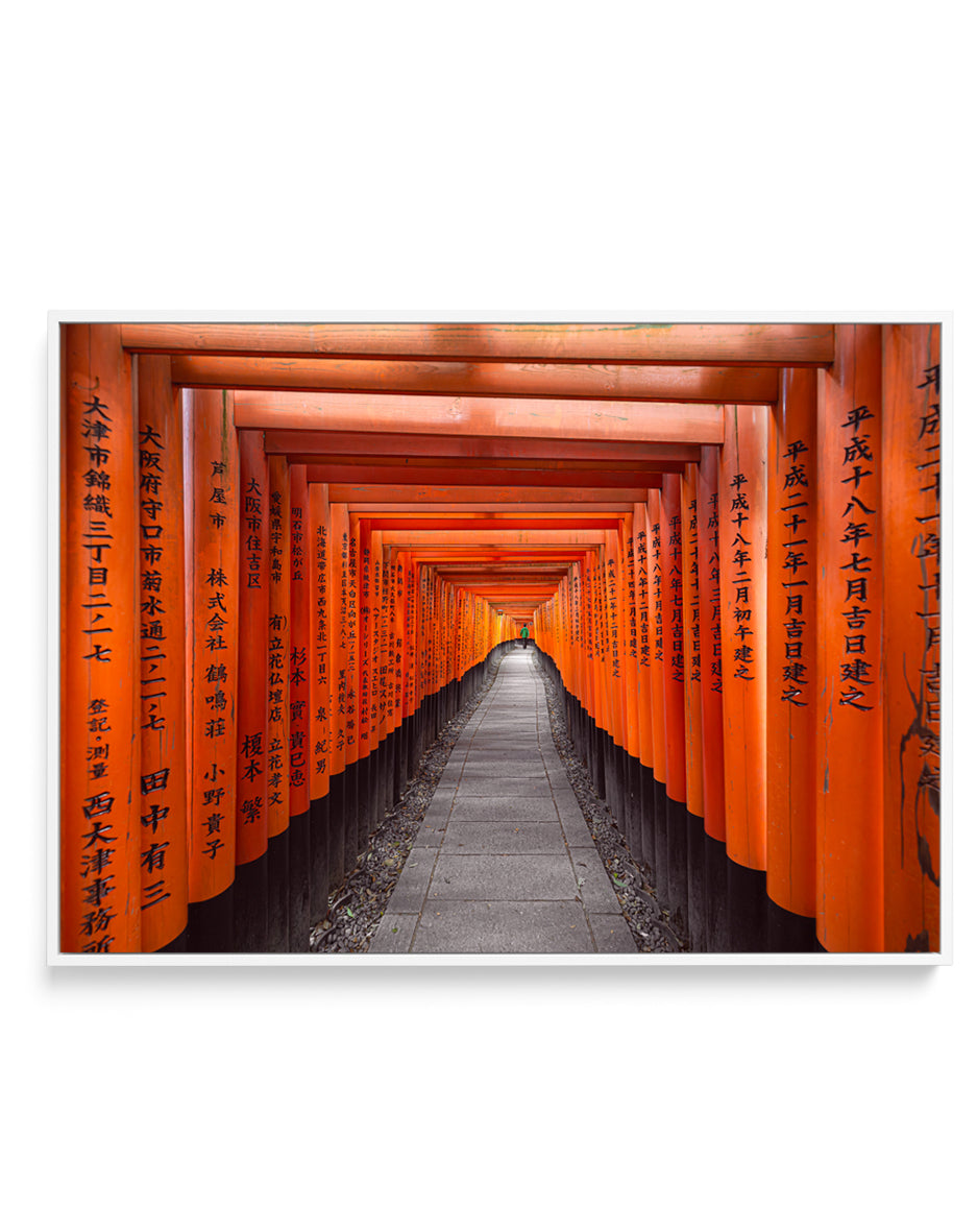 Kyoto Torii Tunnel by Marco Tagliarino | Framed Canvas Art Print