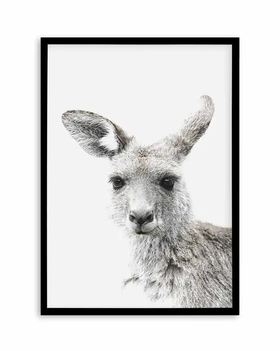 Framed black and white photograph of a kangaroo's head and upper body, with a black frame and white border. The kangaroo has large, upright ears and dark eyes, with a textured, soft grey fur coat. The composition is a close-up, focusing on the animal's face, against a bright white background.