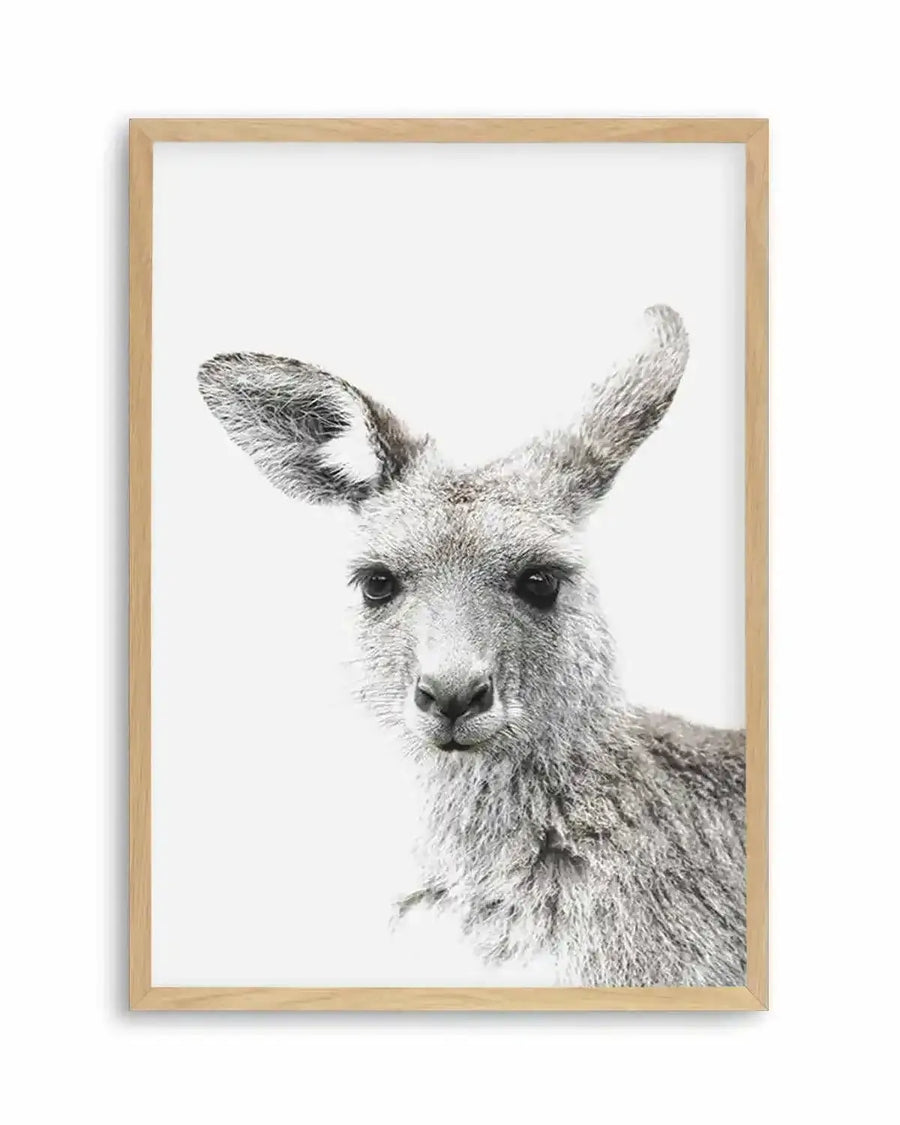 Framed black and white photograph of a kangaroo's head and upper body, printed on fine art paper and displayed in a natural oak frame with white border. The kangaroo has large, upright ears and dark eyes, with a textured, shaggy coat of light grey fur.