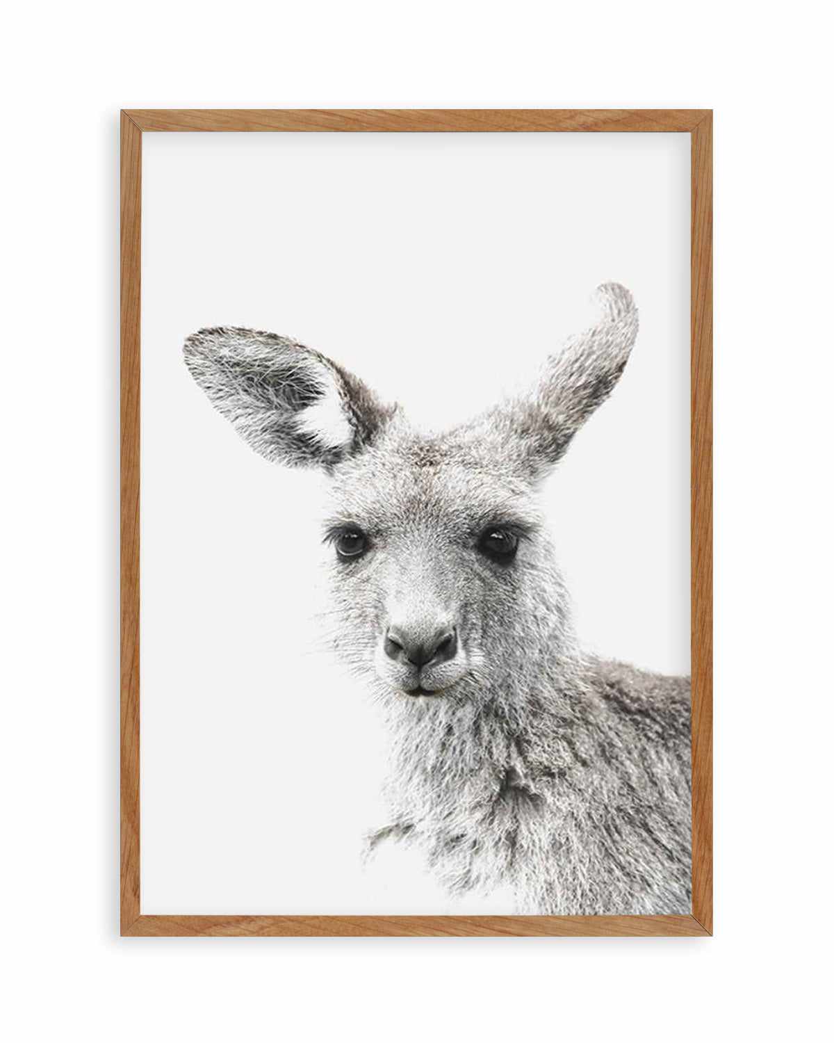 Kangaroo Art Print