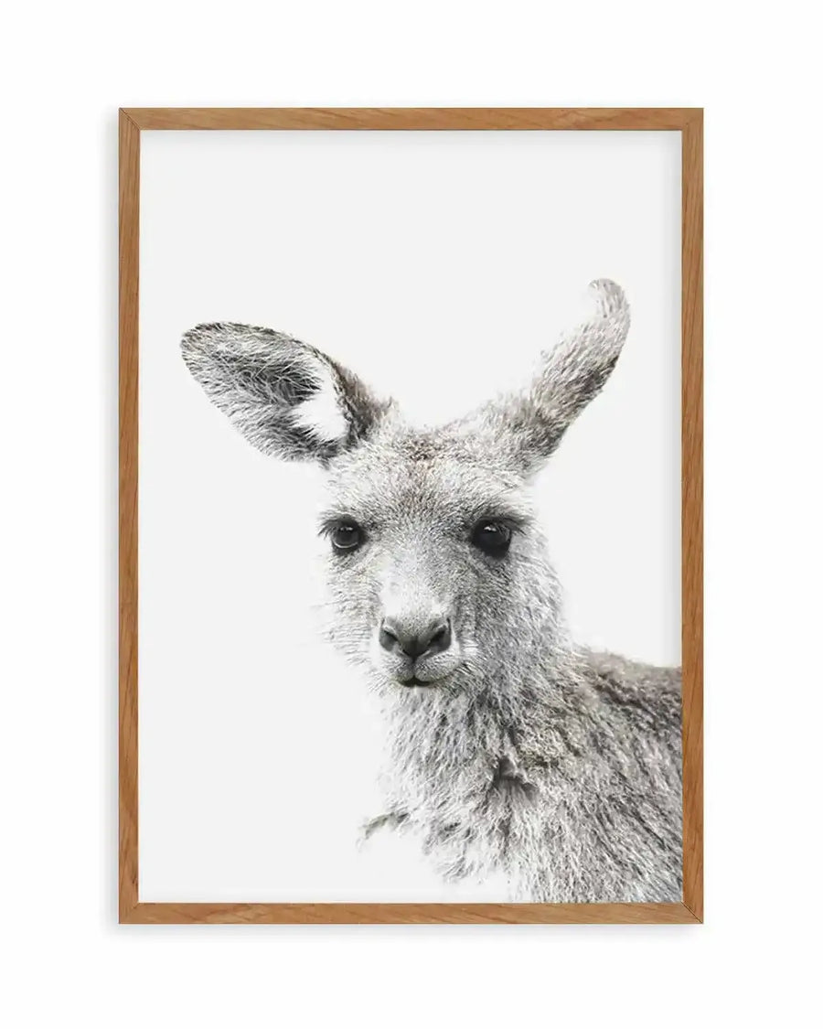 Framed black and white photograph of a young kangaroo looking directly at the viewer, printed on fine art paper and displayed in a natural oak frame with white border. The kangaroo's soft grey fur and dark eyes are captured in sharp detail against a bright white background.