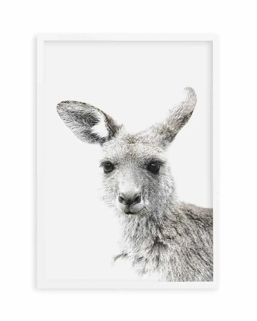 Framed black and white photograph of a young kangaroo's head and shoulders, with a white frame and white border. The kangaroo has large, dark eyes and soft, grey fur, looking directly at the viewer with a gentle expression.