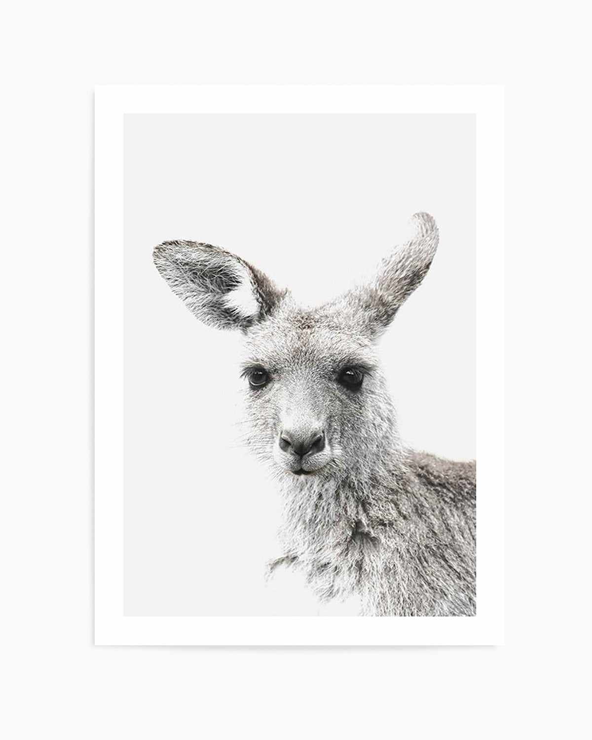 Kangaroo Art Print