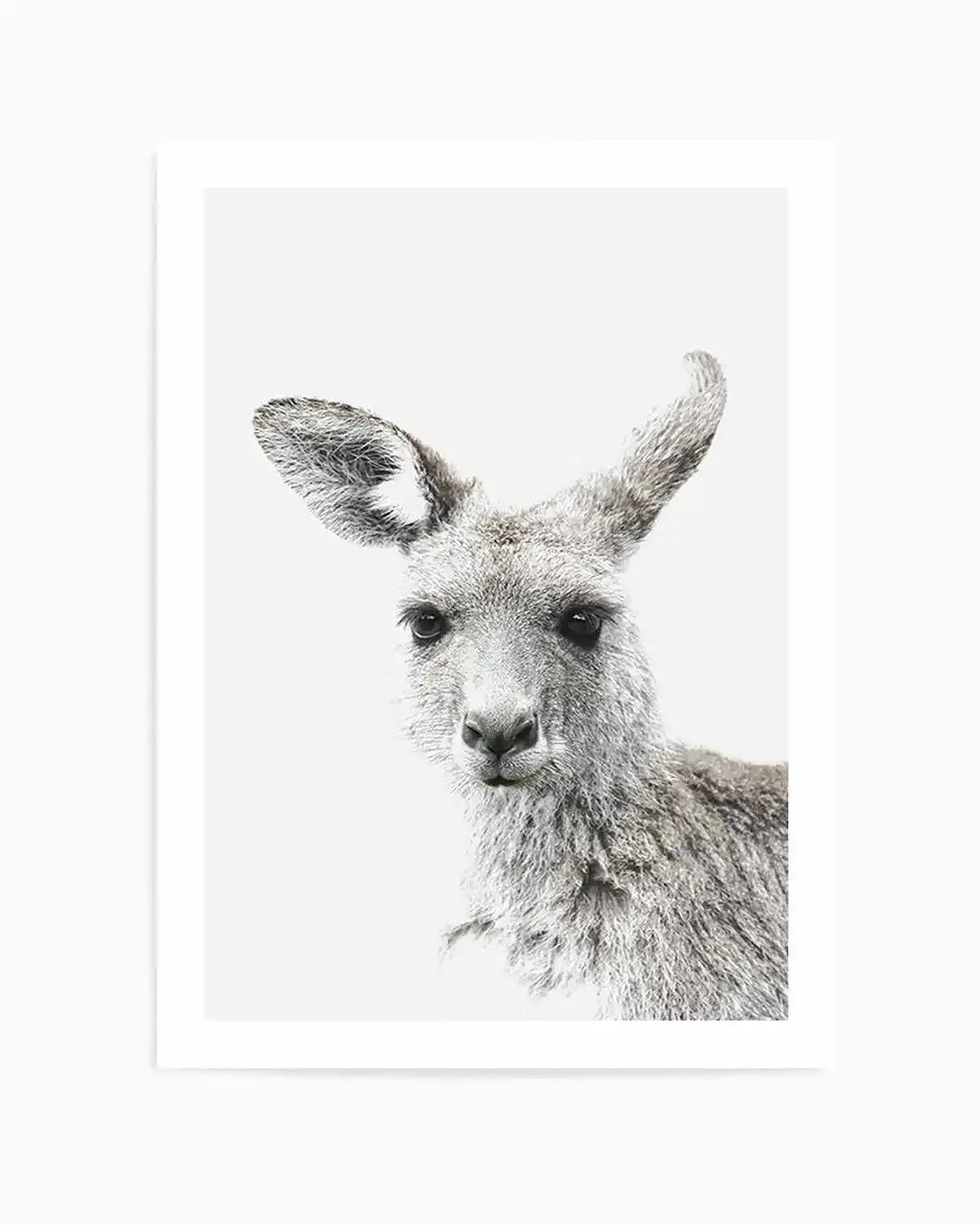 Kangaroo Art Print from Olive et Oriel where you can shop wallpaper and artworks online