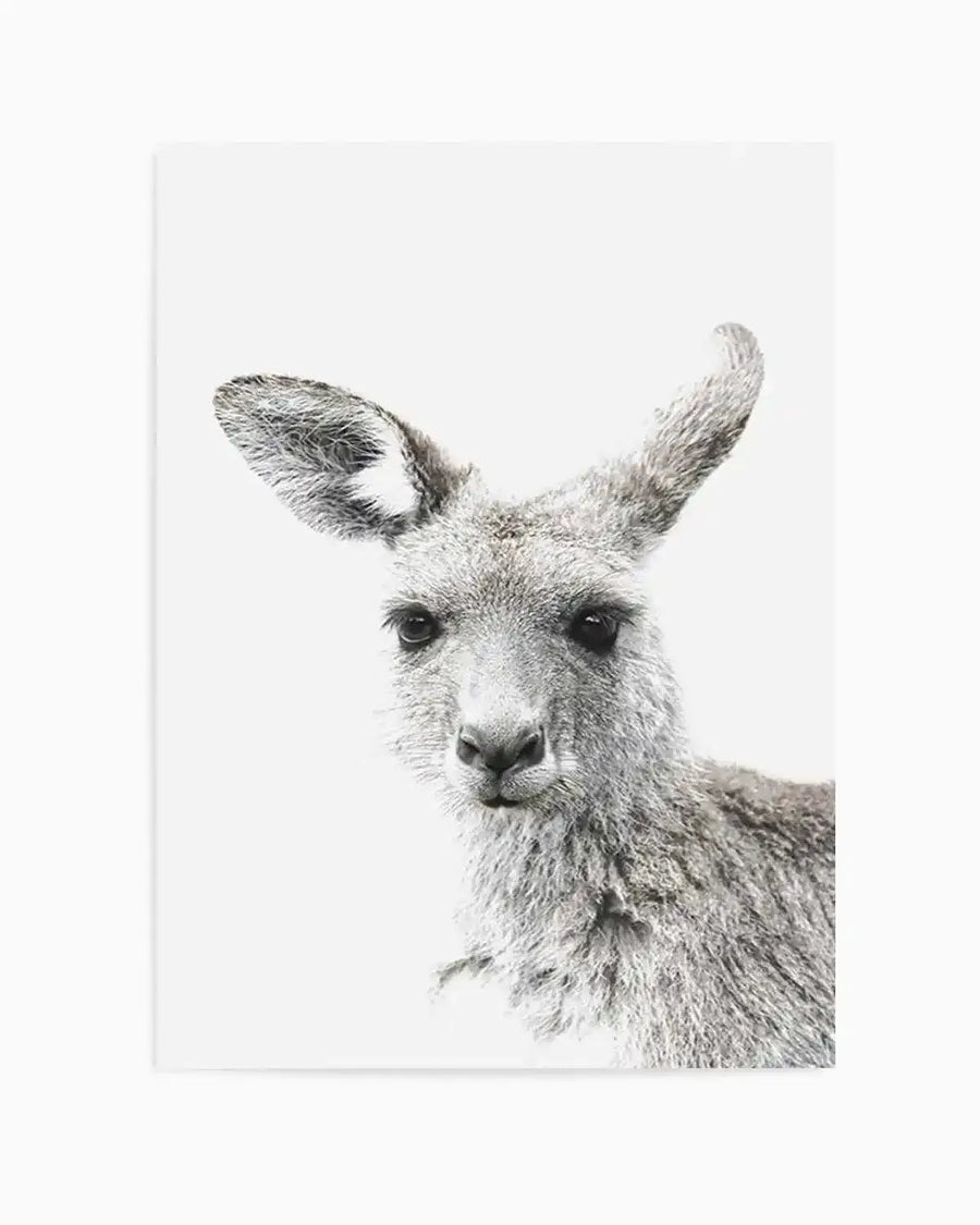 Black and white photography art print featuring a close-up portrait of a kangaroo's head and upper body against a plain white background. The kangaroo has large, upright ears, dark eyes, and a soft, textured grey fur. The composition focuses on the animal's gentle expression, looking directly at the viewer.